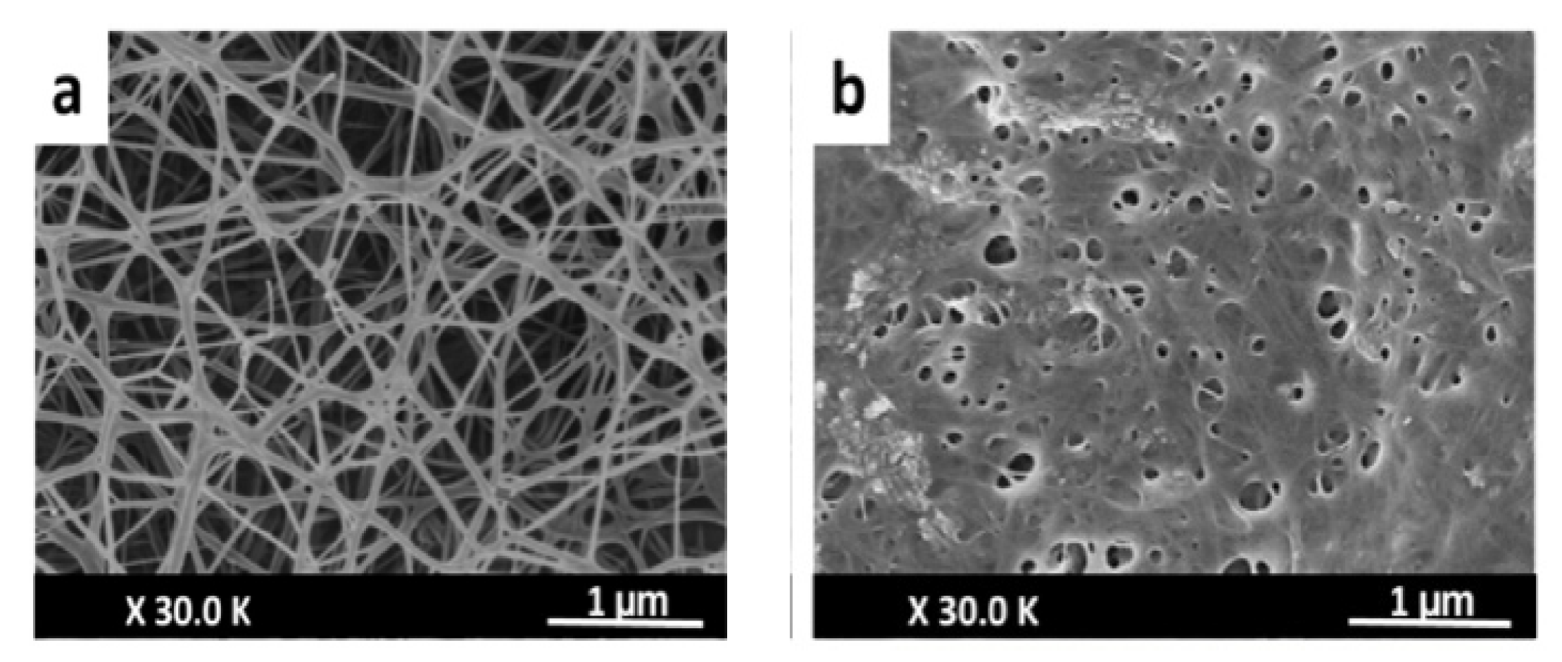 Pharmaceutics 13 01125 g006