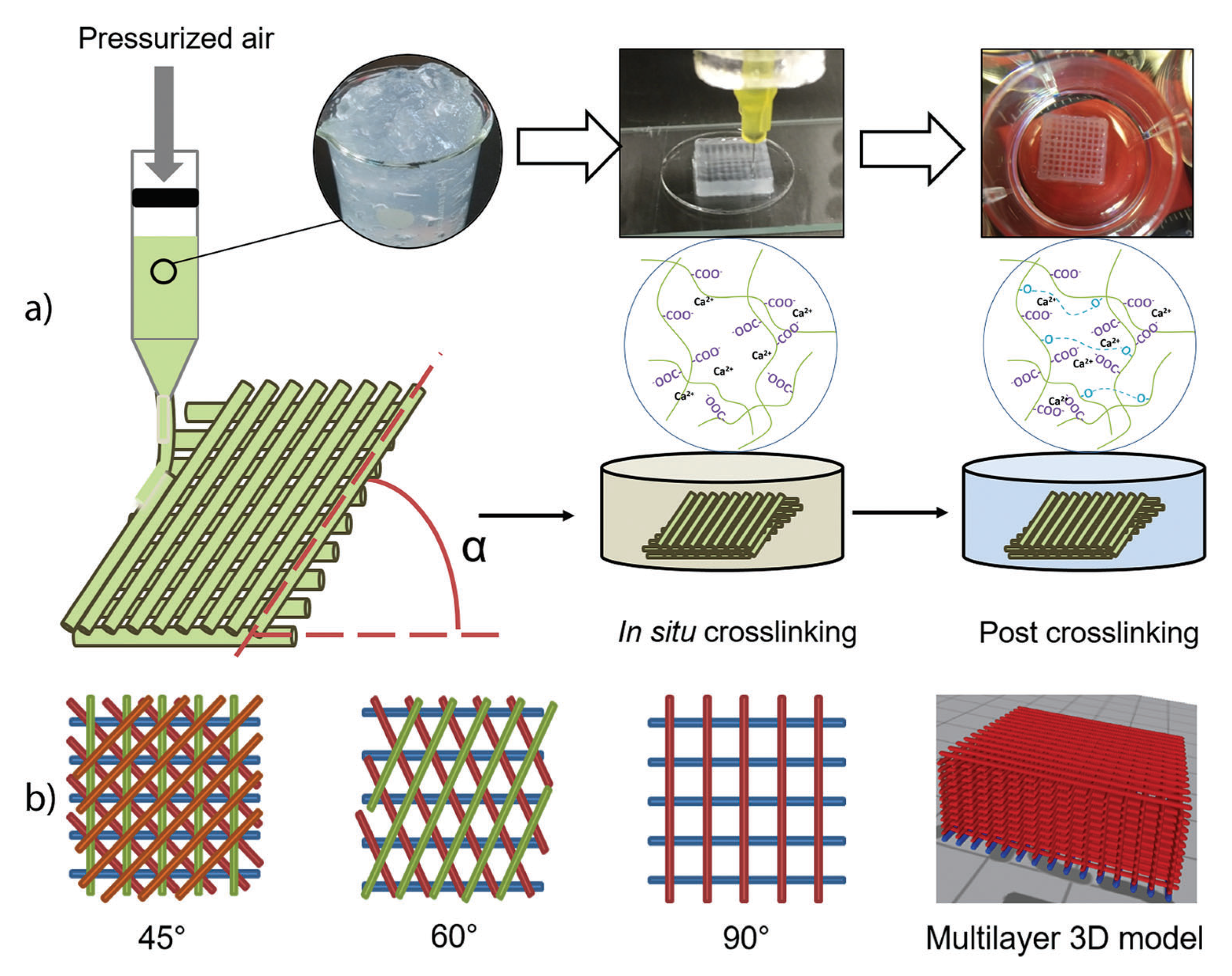 Pharmaceutics 13 01125 g008