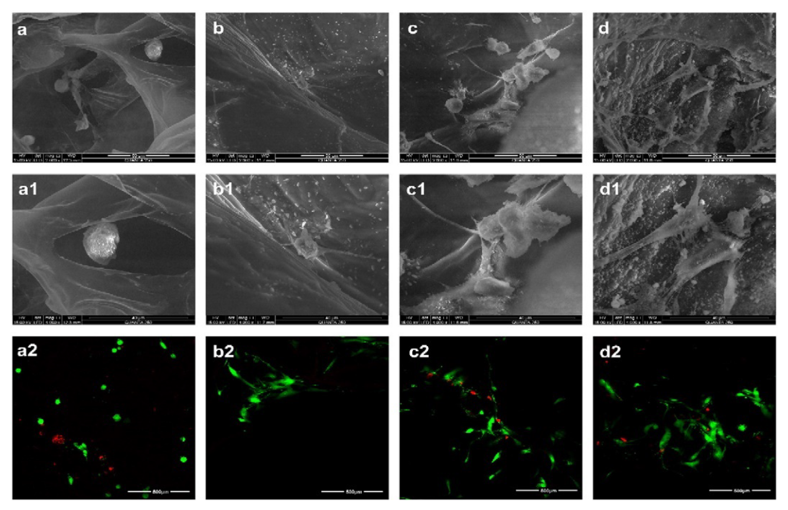 Pharmaceutics 13 01125 g009