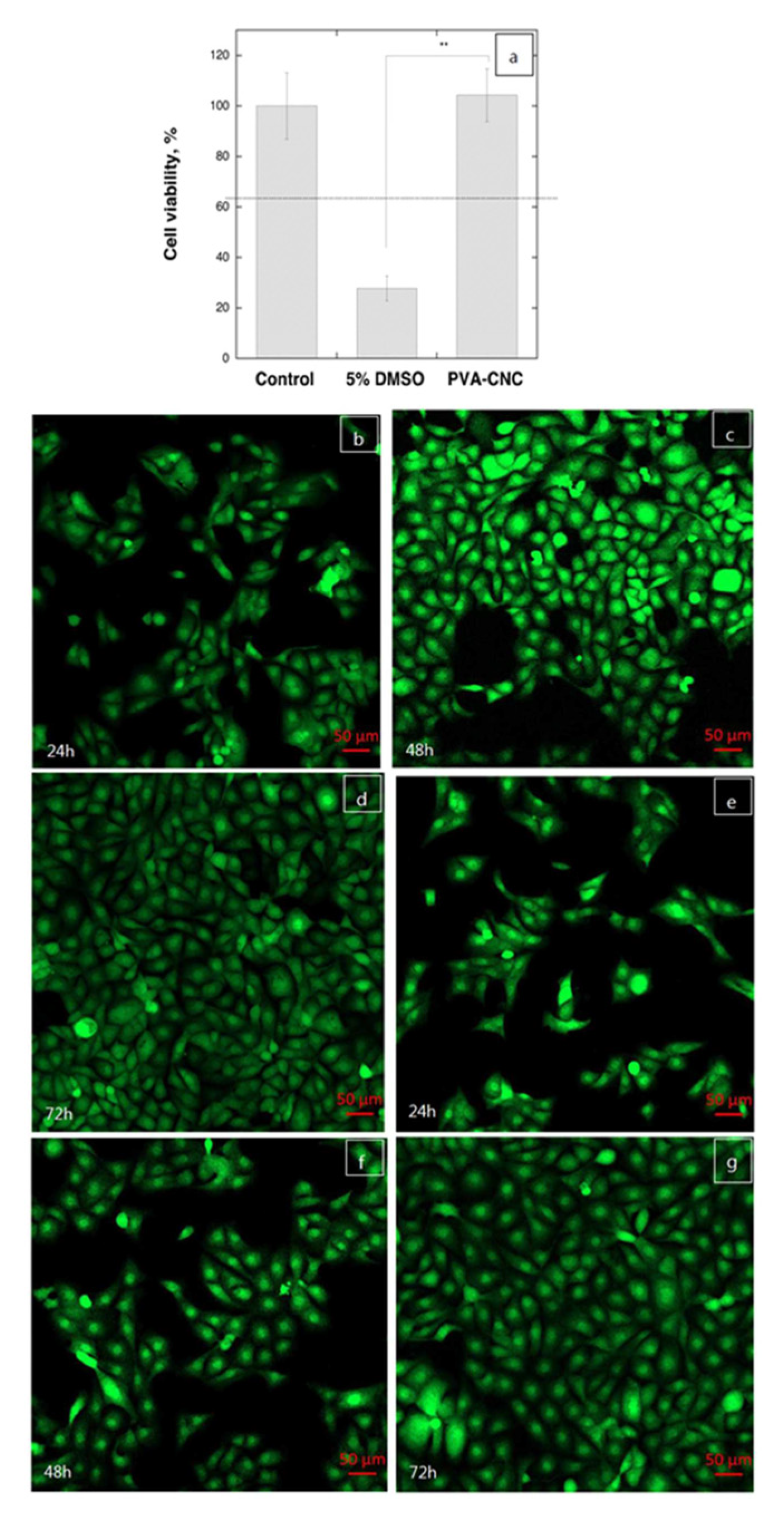 Pharmaceutics 13 01125 g011
