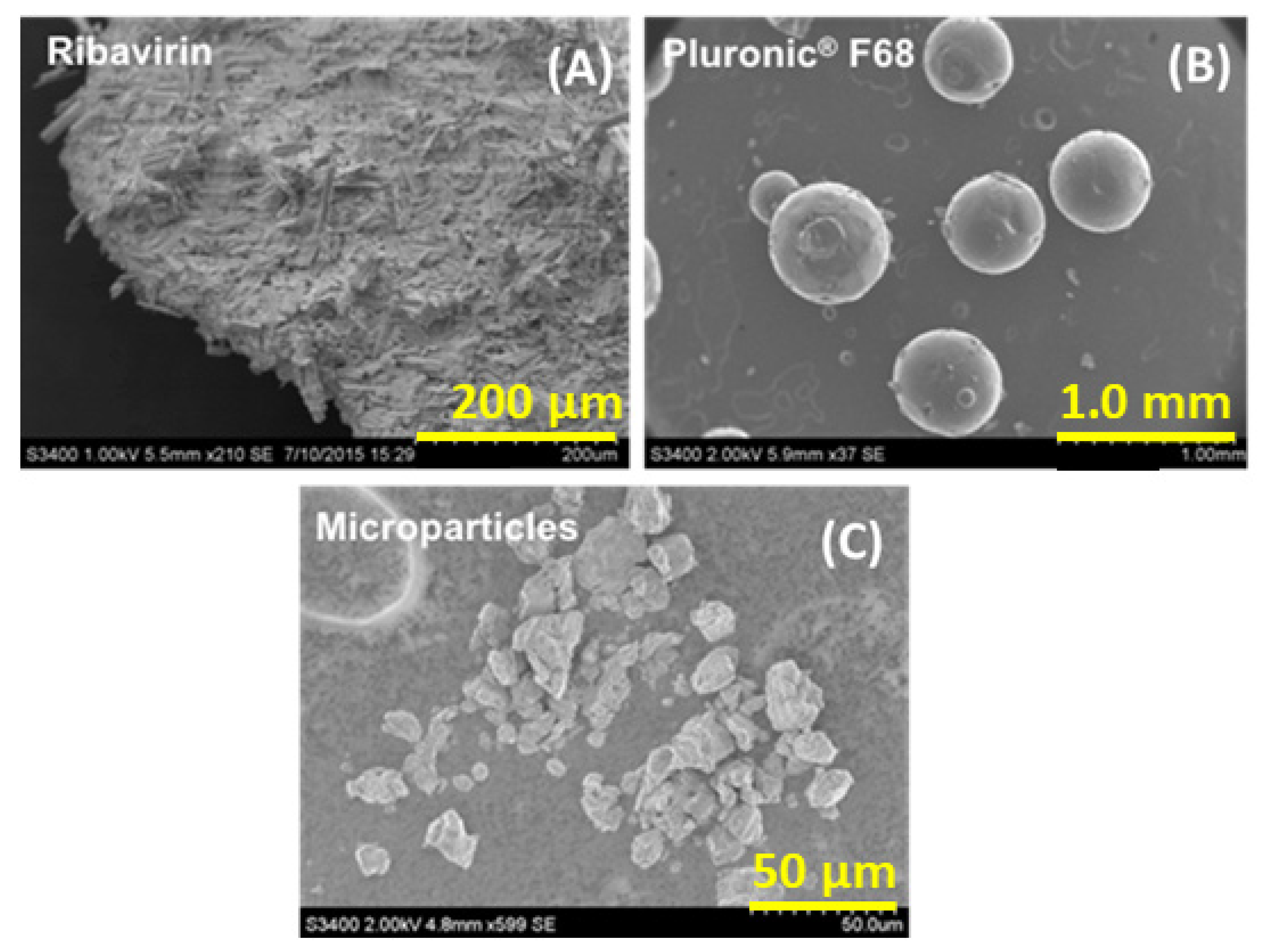 Pharmaceutics 13 01126 g003 Pharmaceutics 13 01126 g003