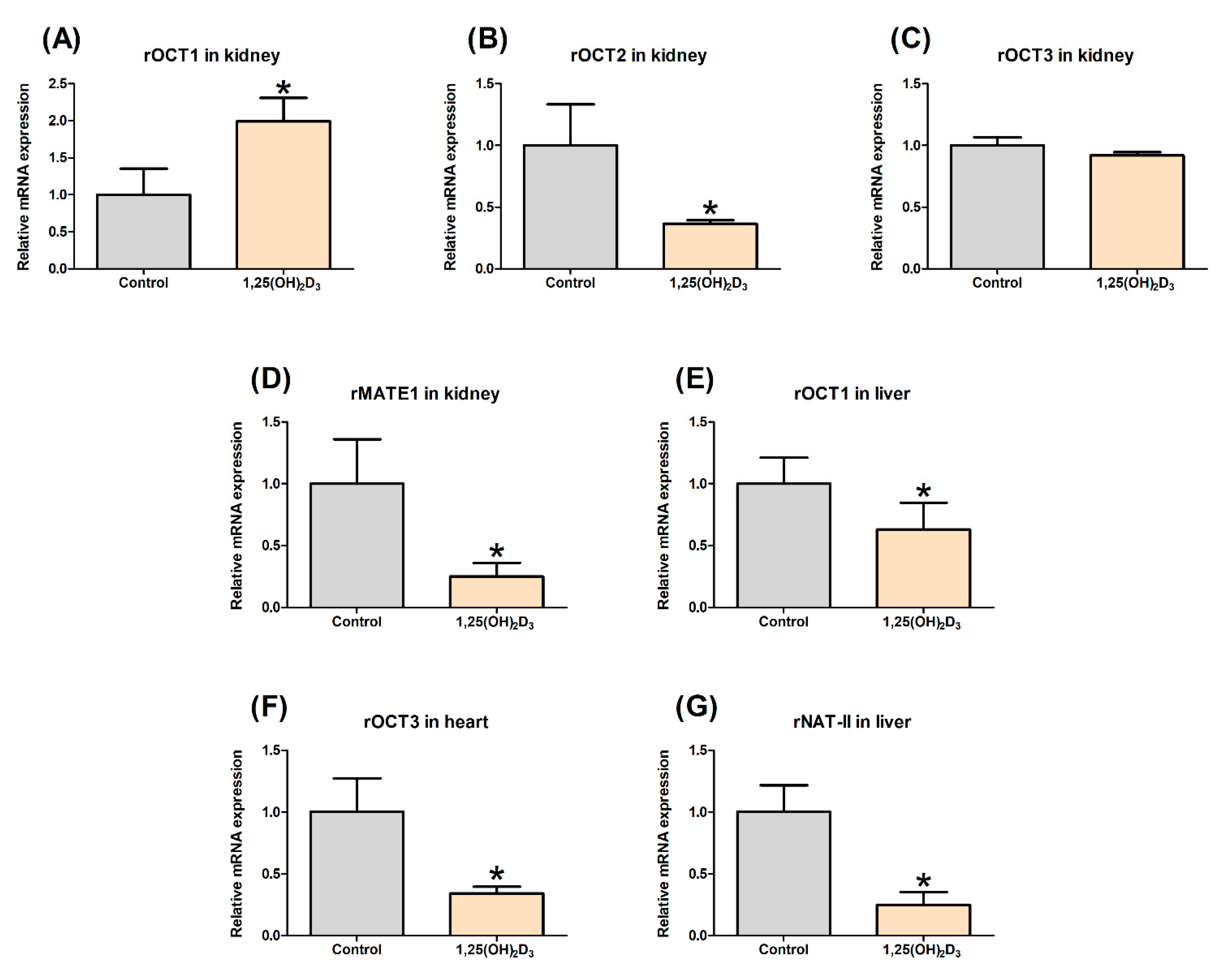 Pharmaceutics 13 01133 g001
