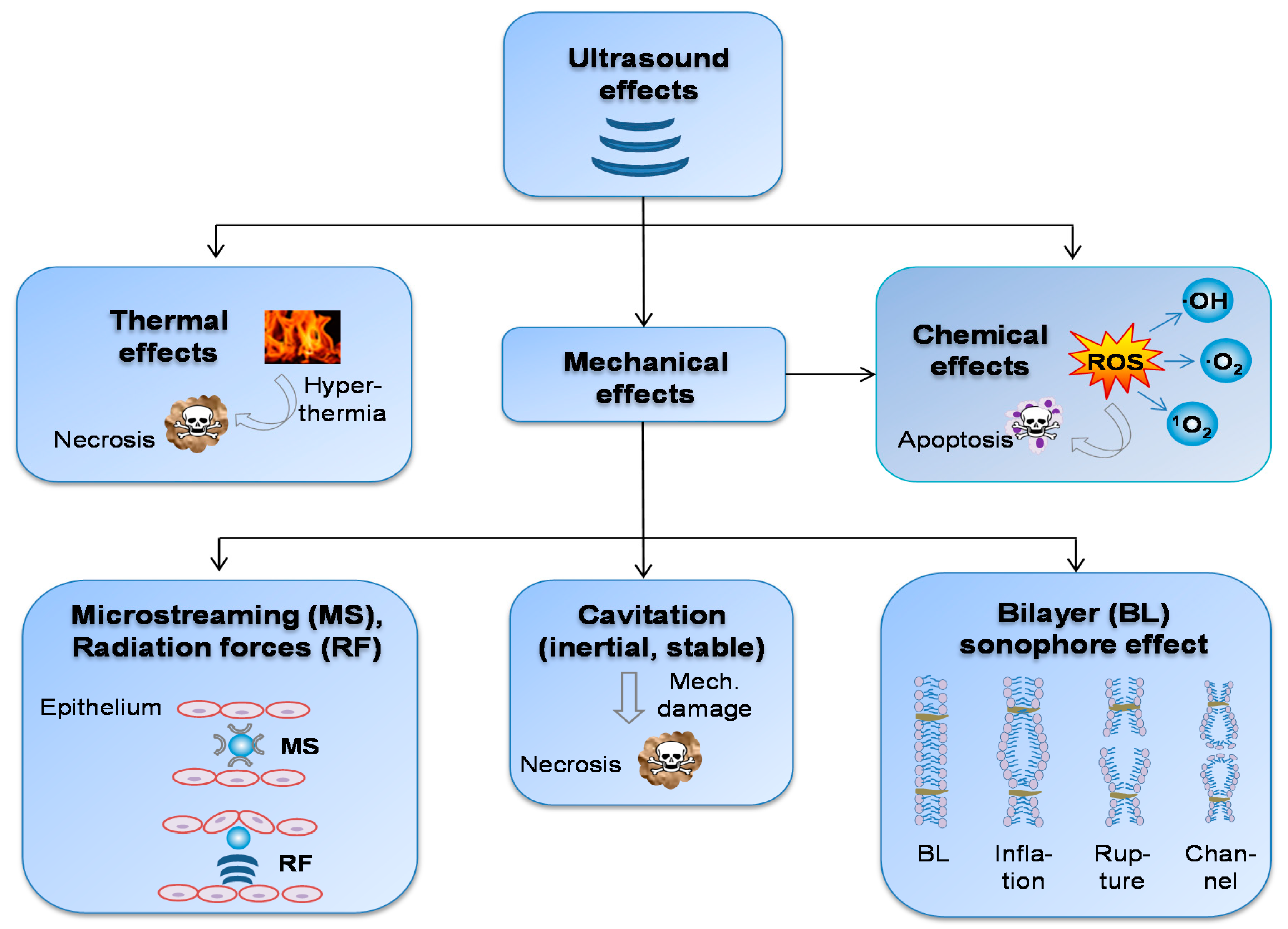 Pharmaceutics 13 01135 g002 Pharmaceutics 13 01135 g002