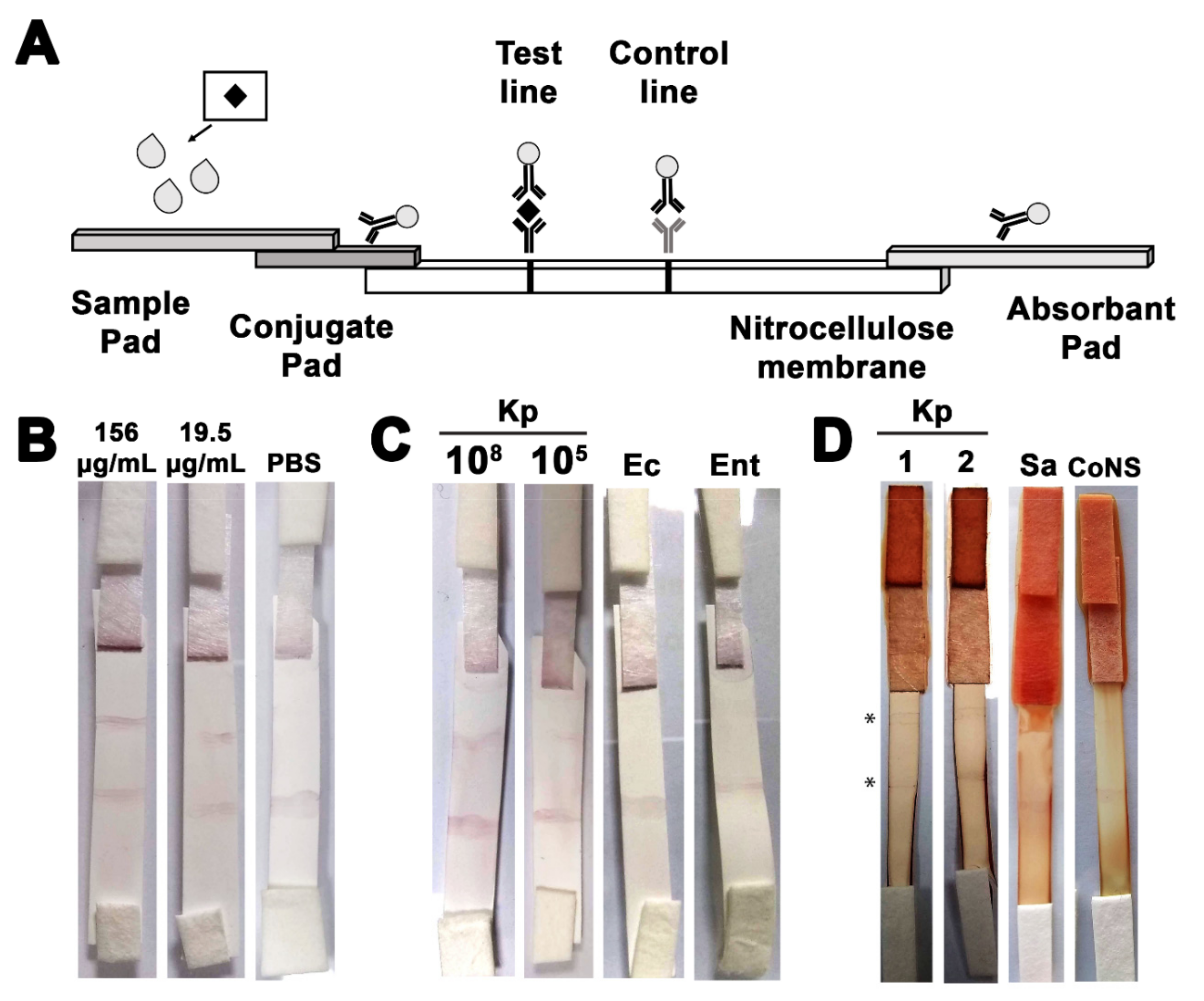 Pharmaceutics 13 01141 g004 550
