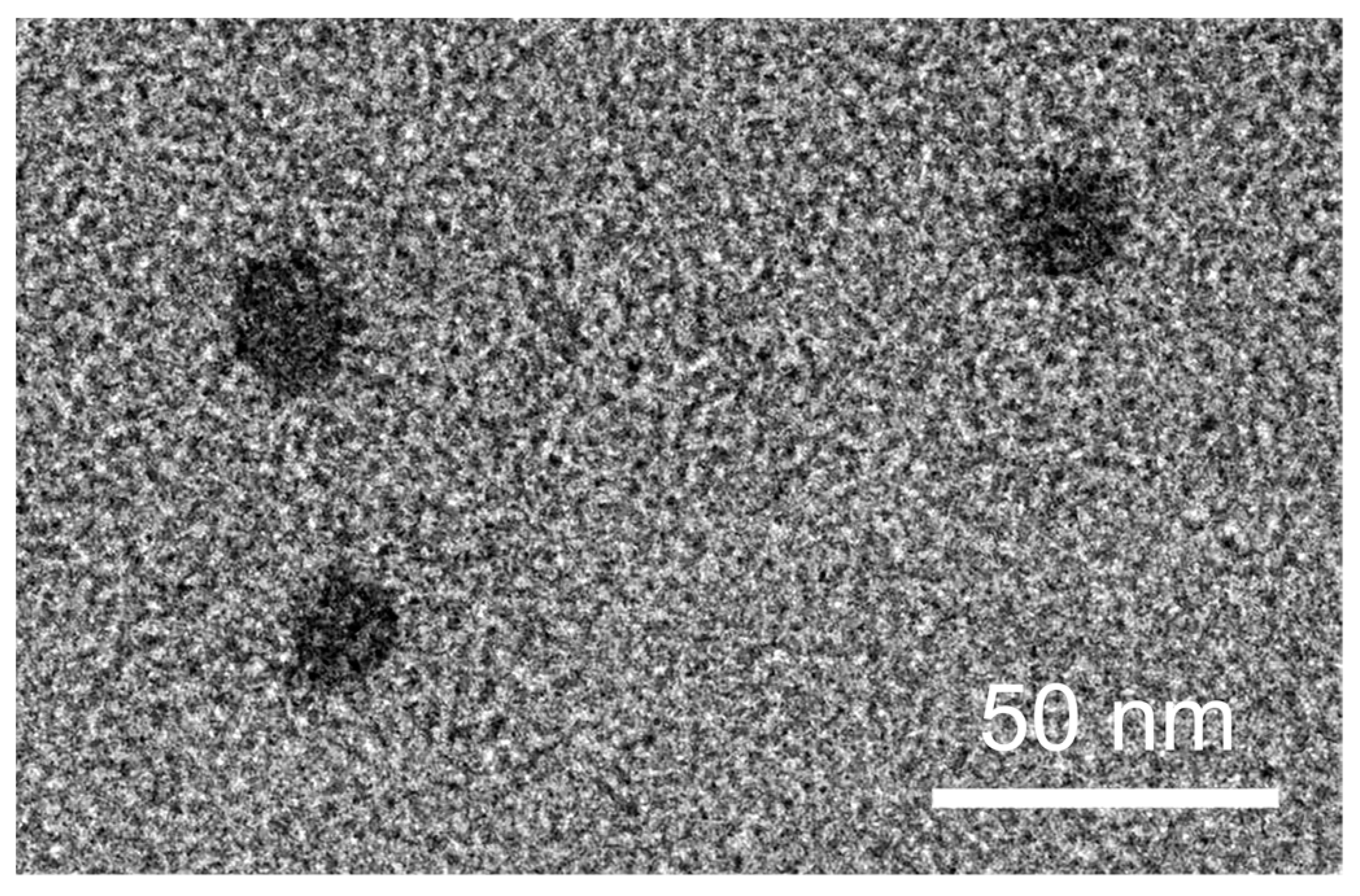 Pharmaceutics 13 01142 g005