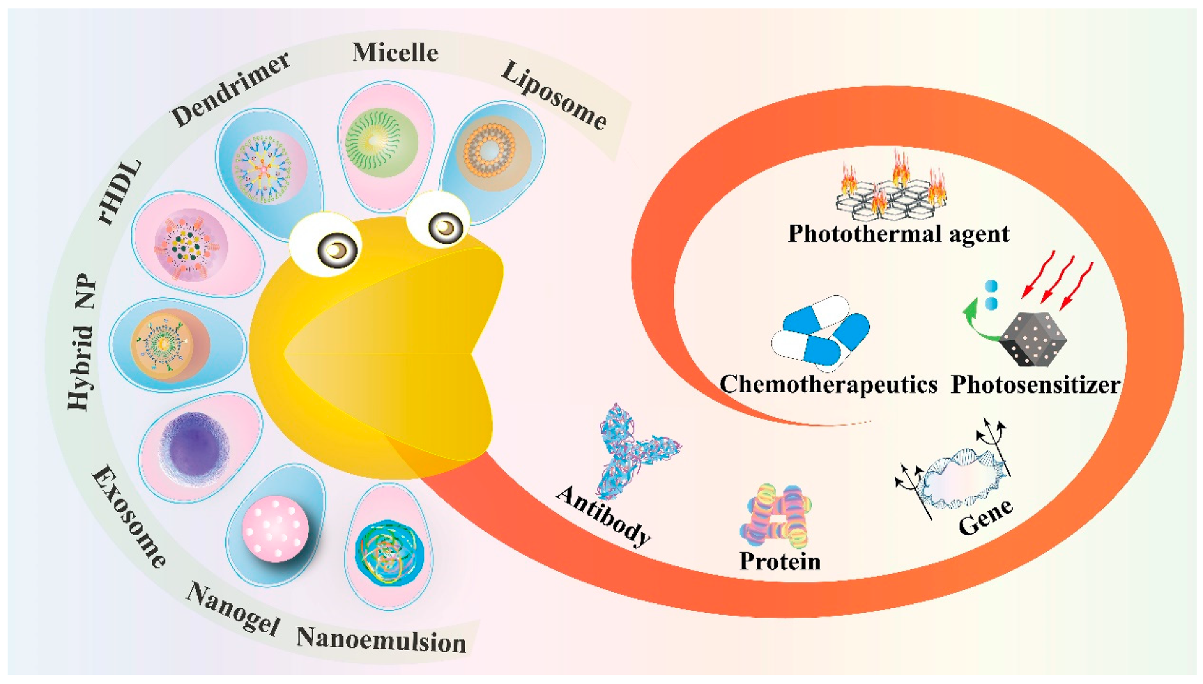Pharmaceutics 13 01151 g001