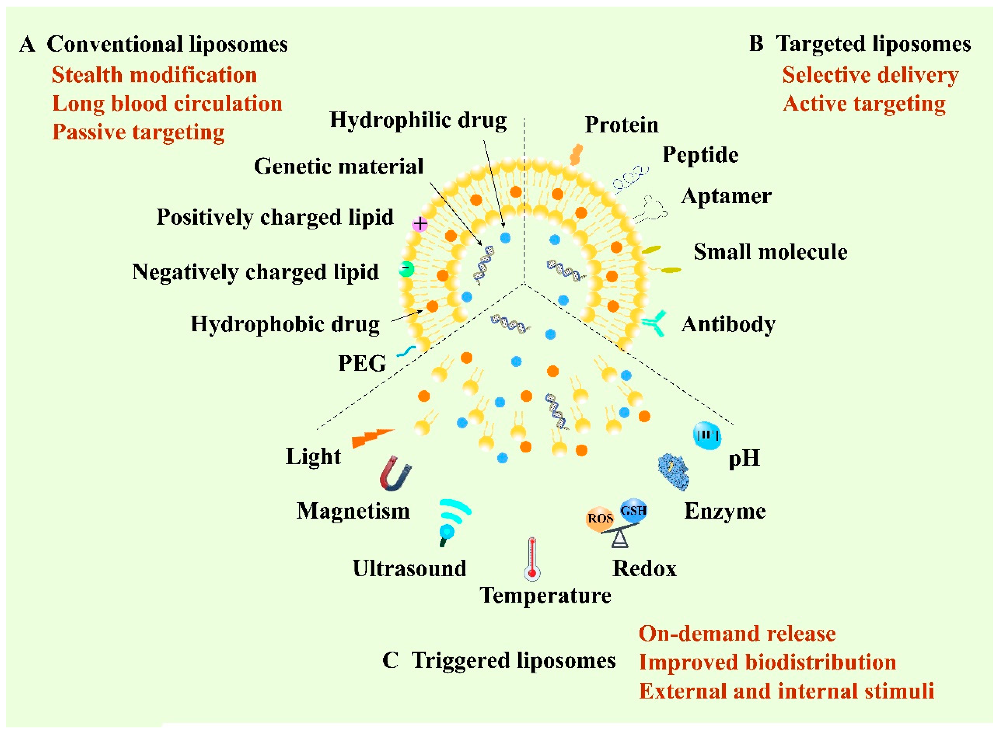 Pharmaceutics 13 01151 g002