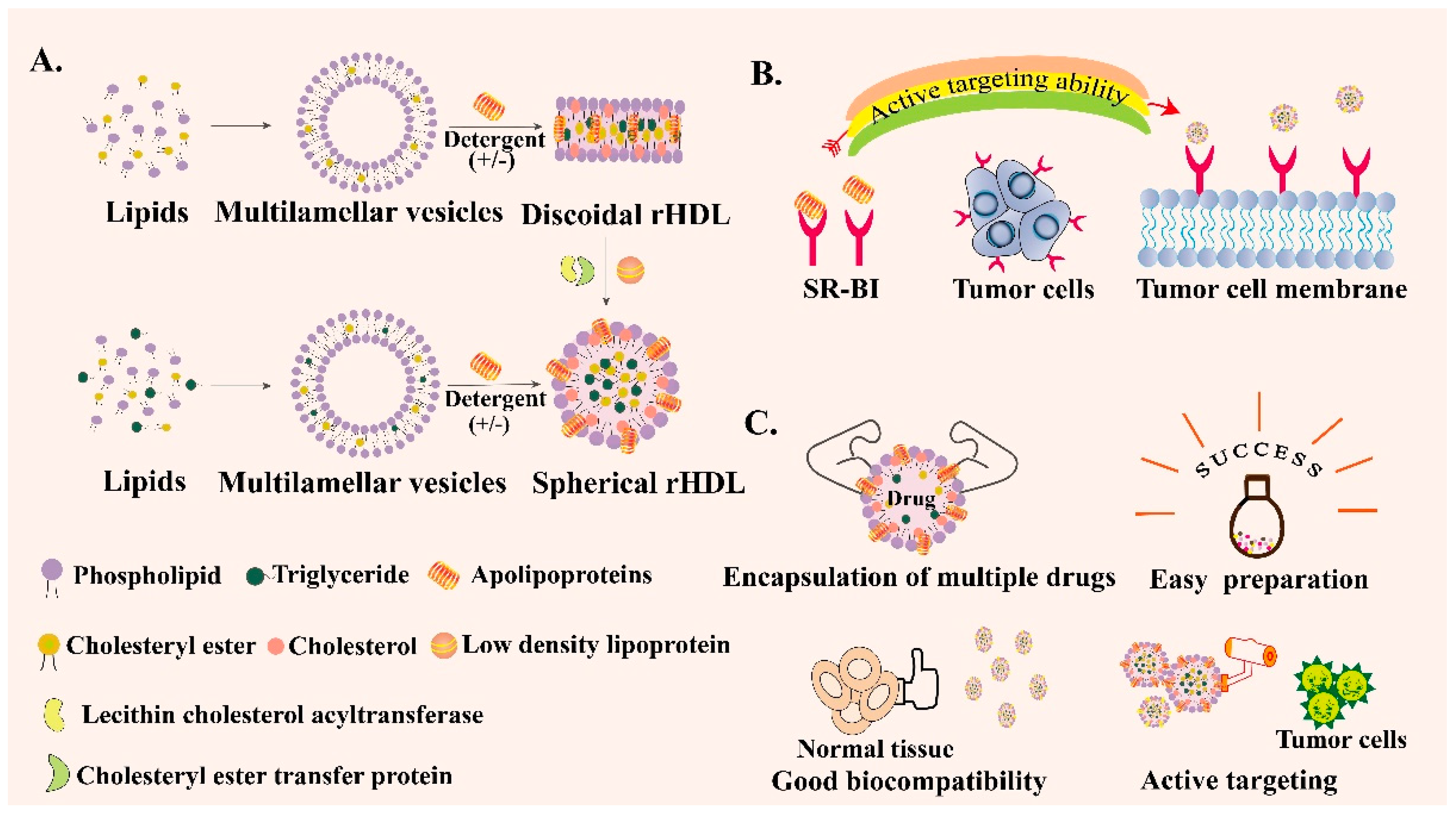 Pharmaceutics 13 01151 g003