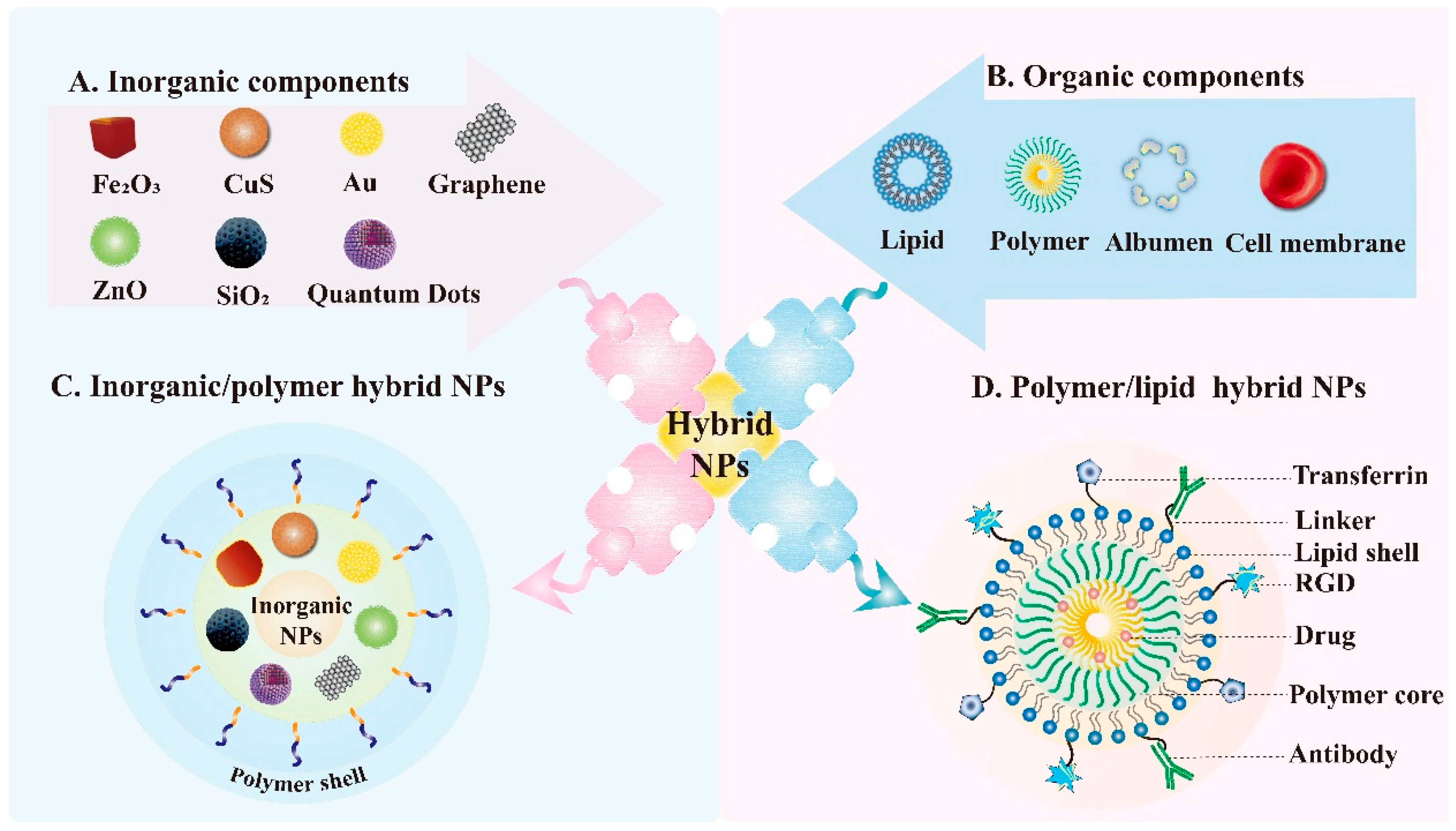Pharmaceutics 13 01151 g006