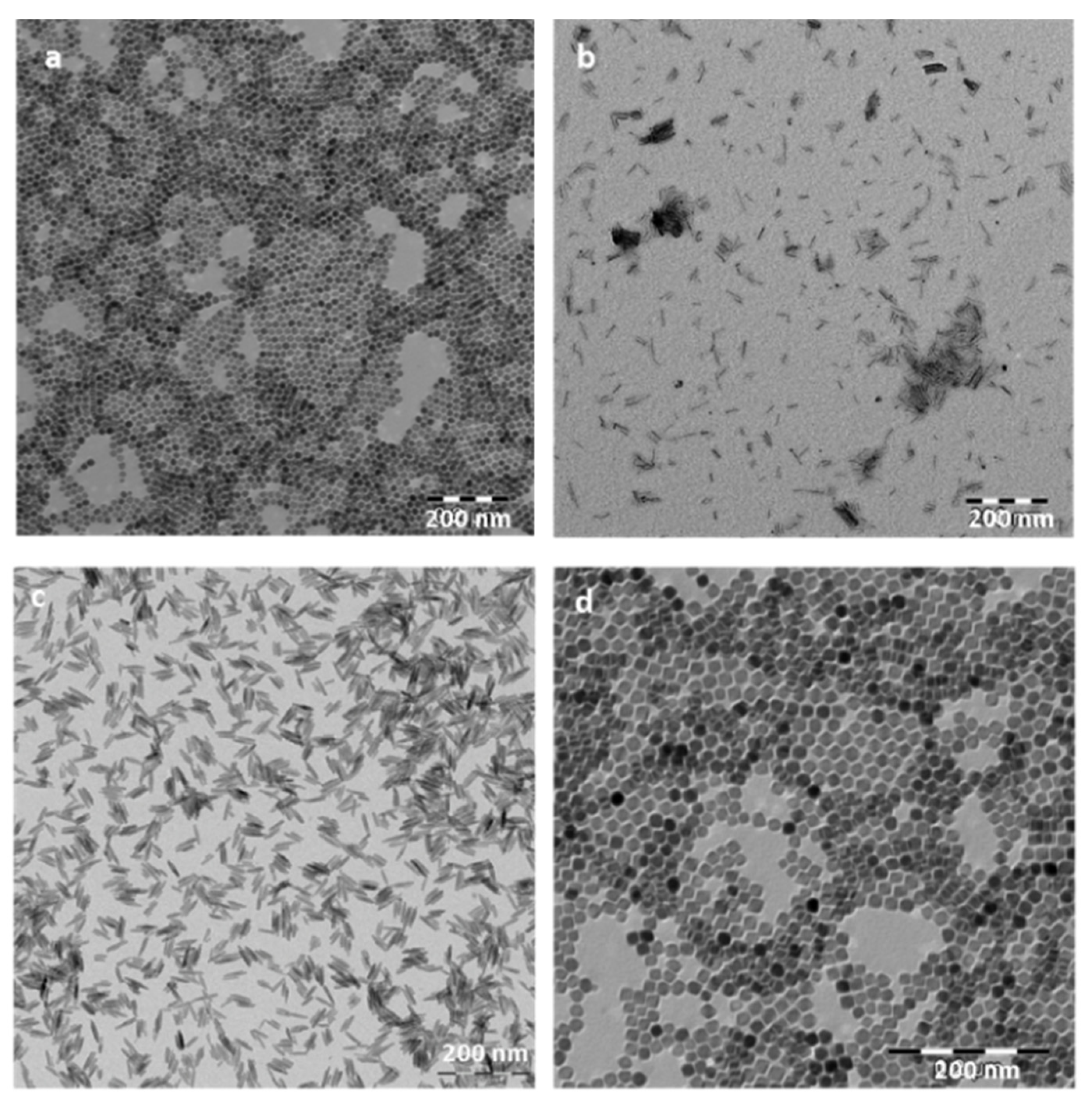 Pharmaceutics 13 01157 g005 Pharmaceutics 13 01157 g005