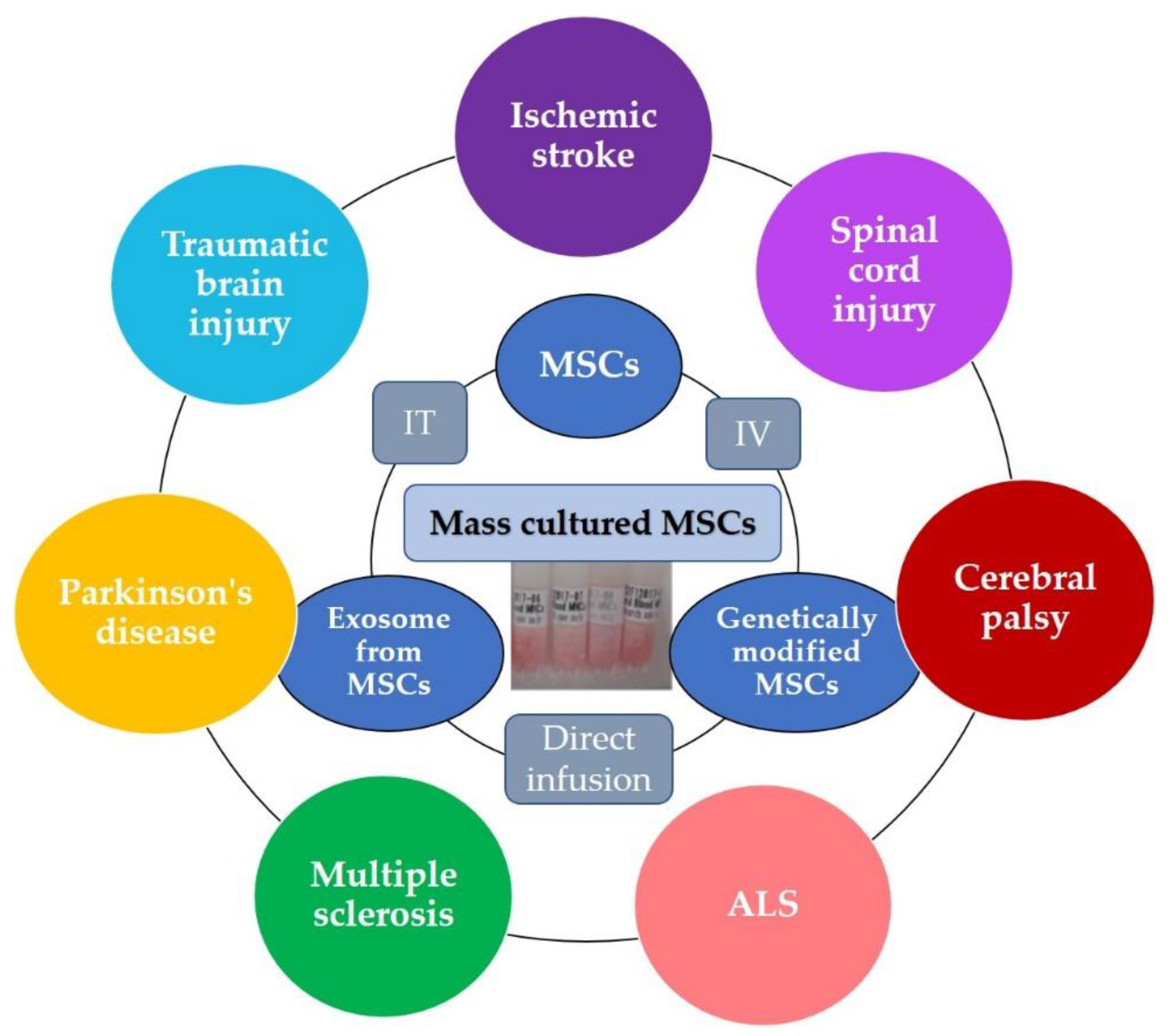 Pharmaceutics 13 01159 g002 550