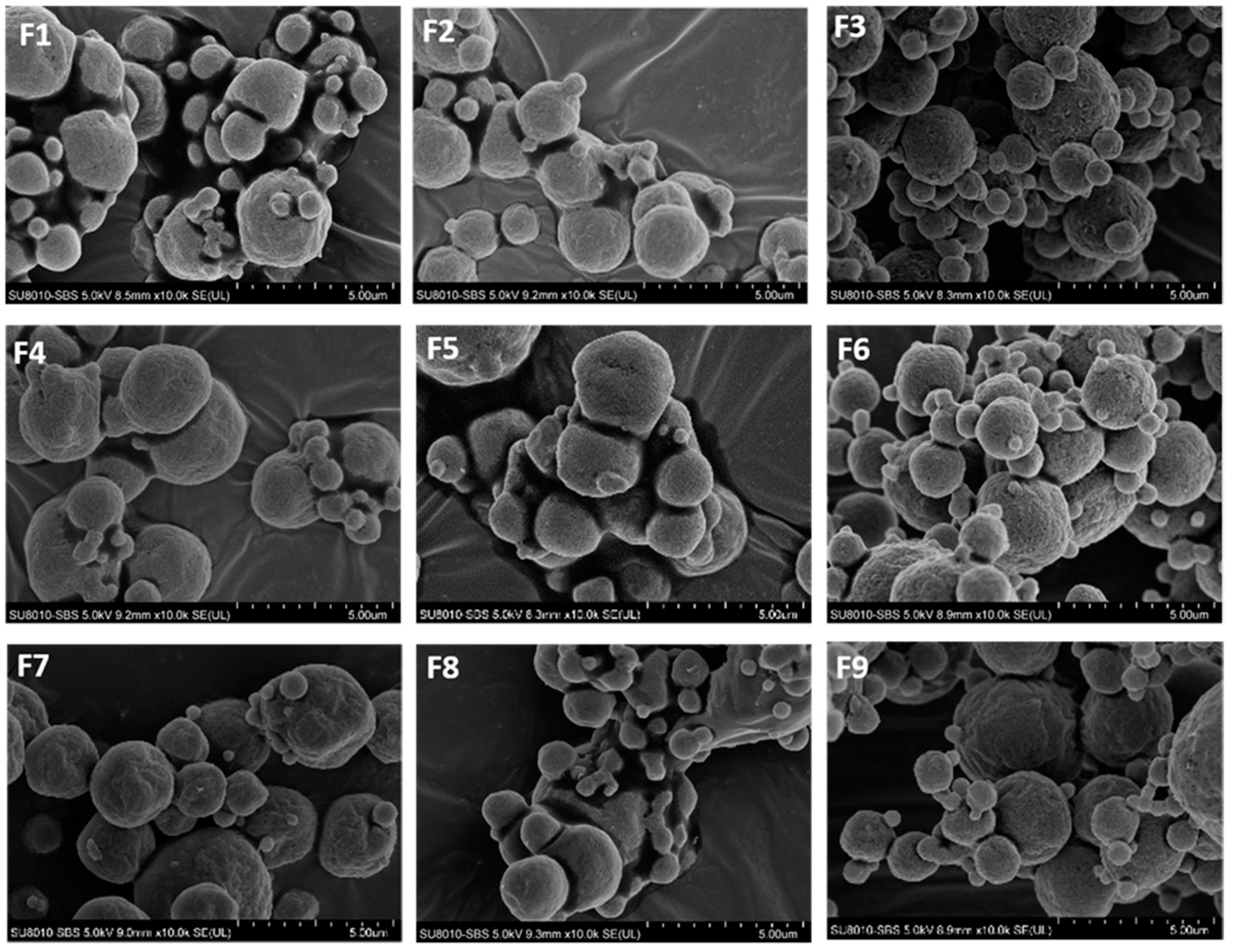 Pharmaceutics 13 01162 g002 550