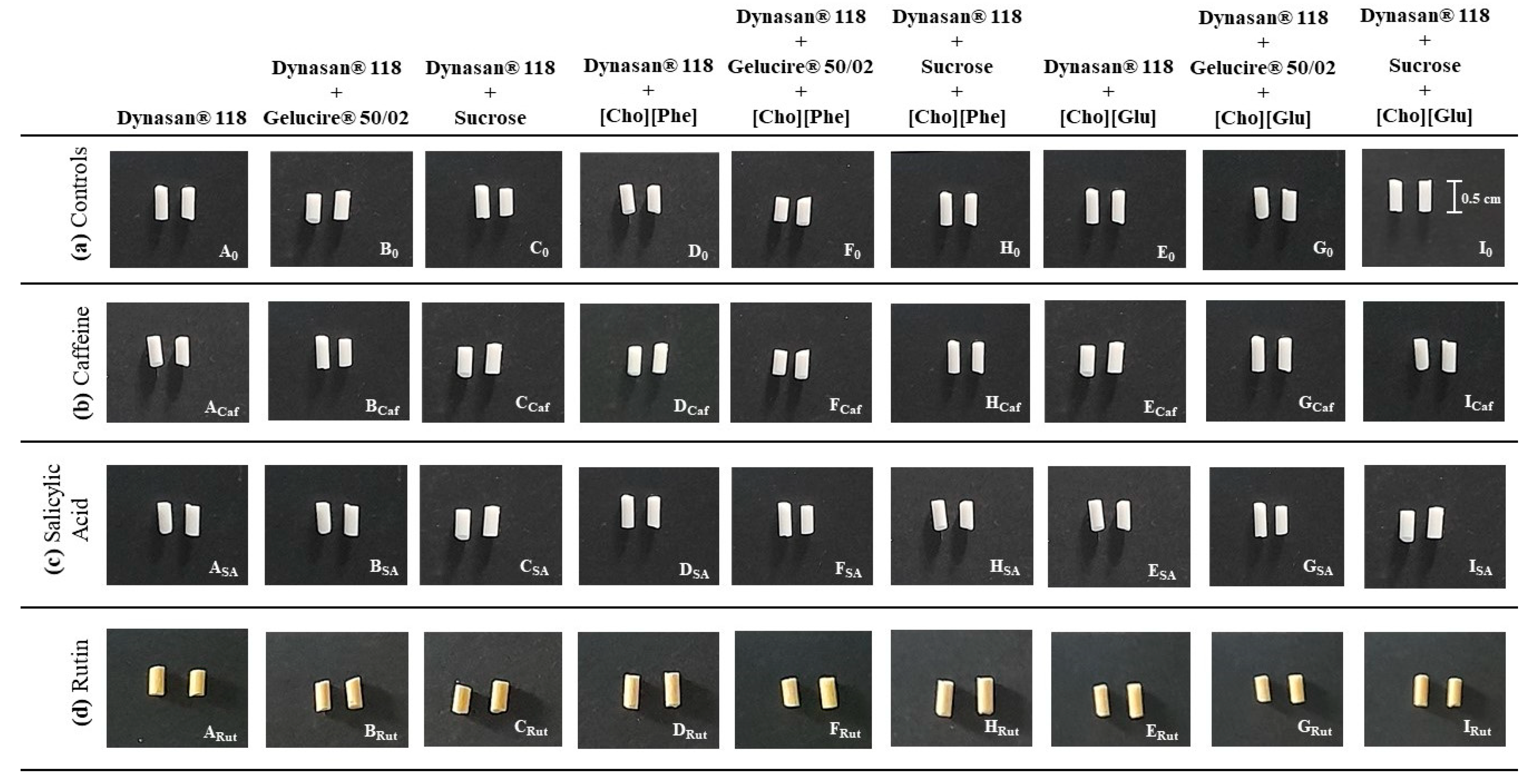 Pharmaceutics 13 01163 g002