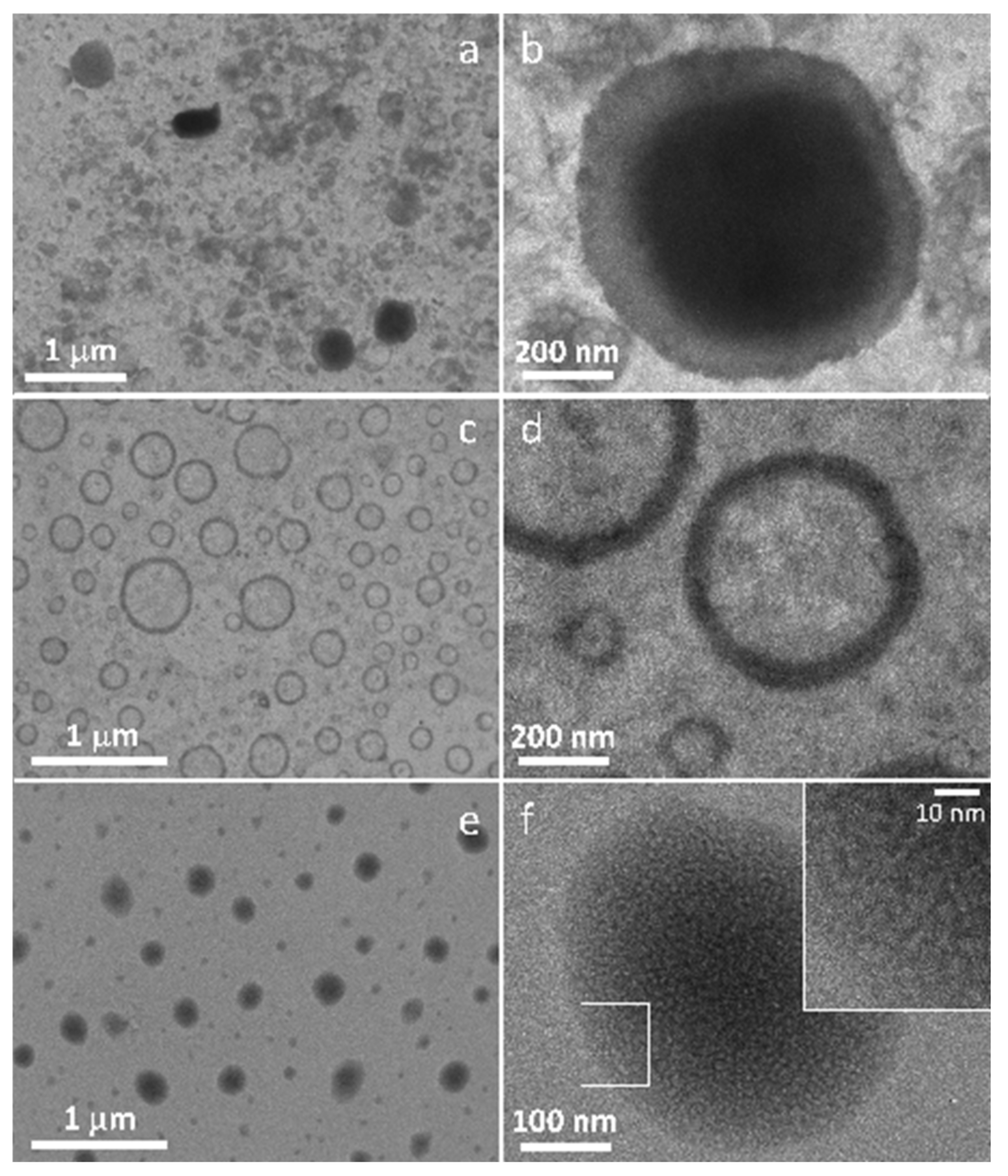 Pharmaceutics 13 01166 g006