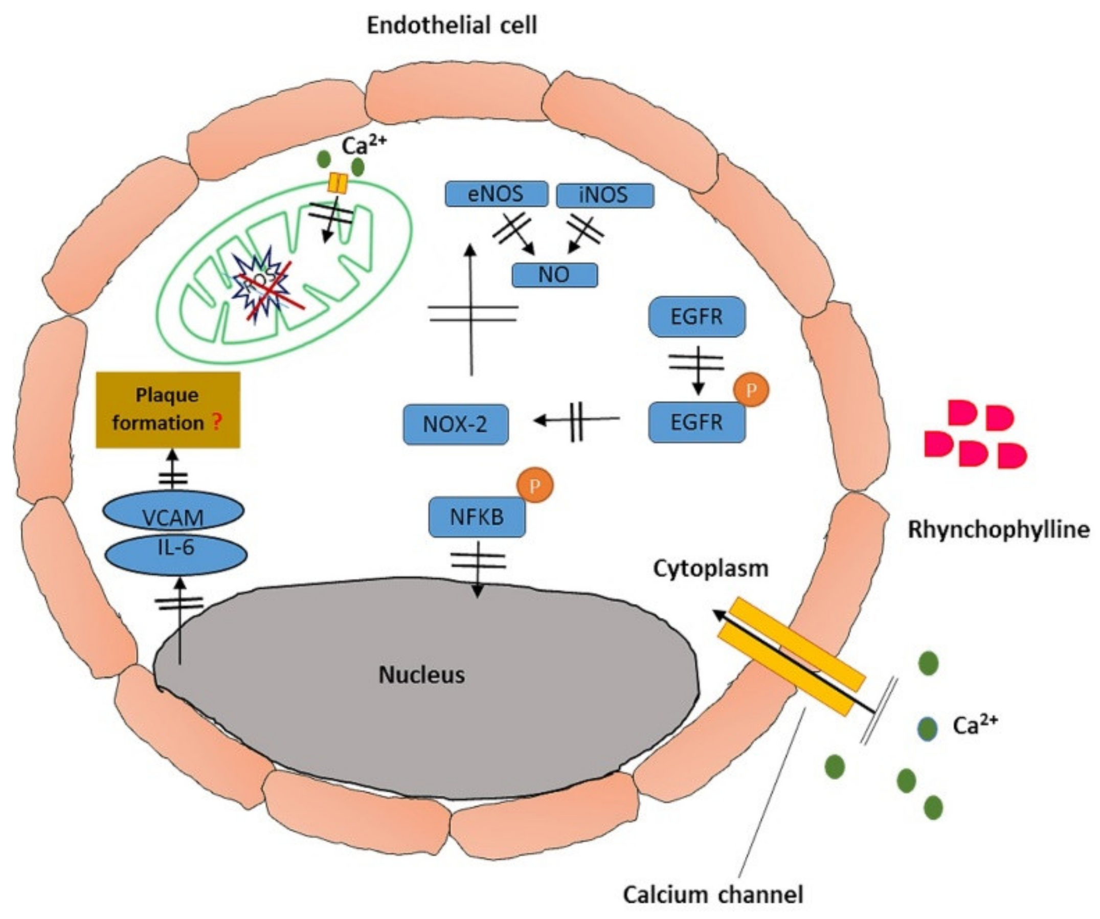 Targeting epigenetic and posttranslational modifications