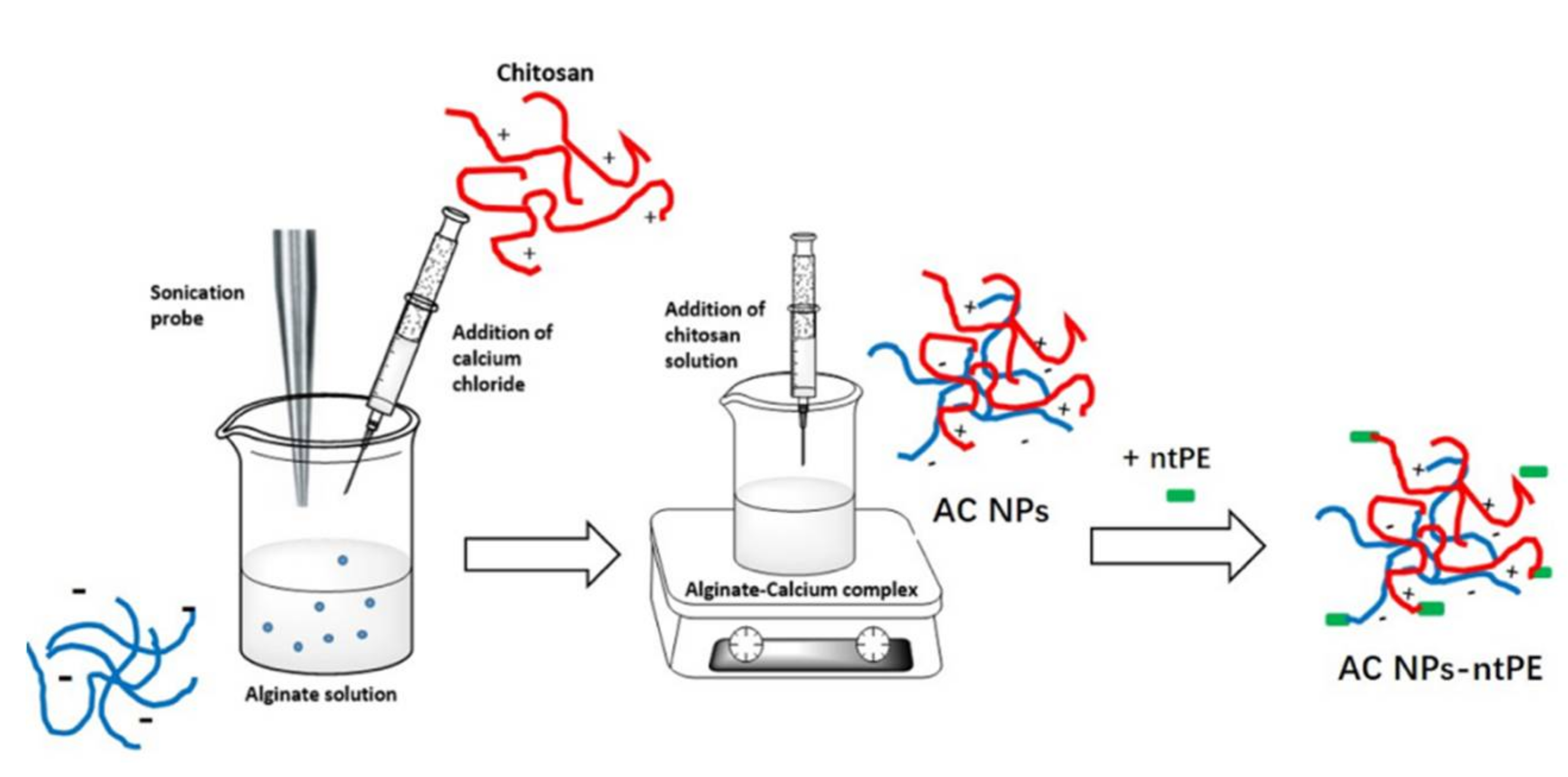 Pharmaceutics 13 01171 g001 550