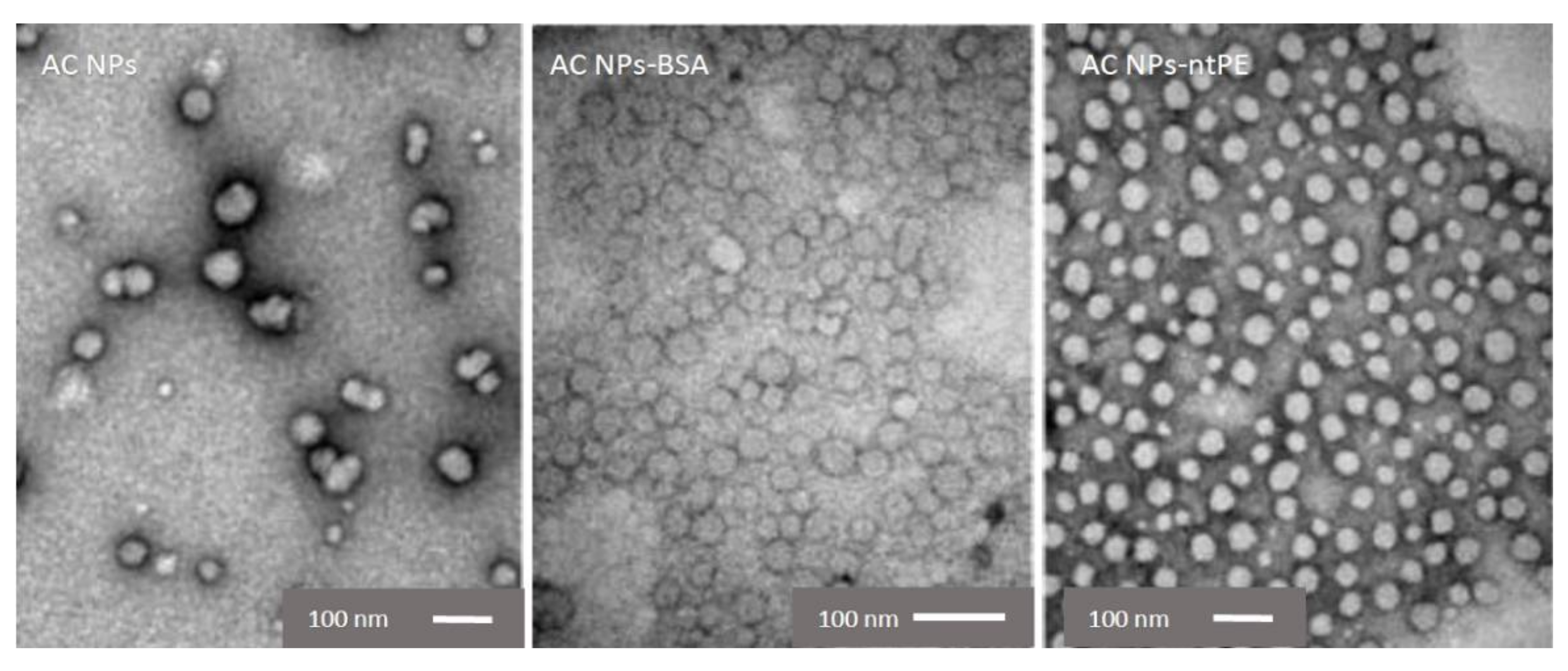 Pharmaceutics 13 01171 g004 550