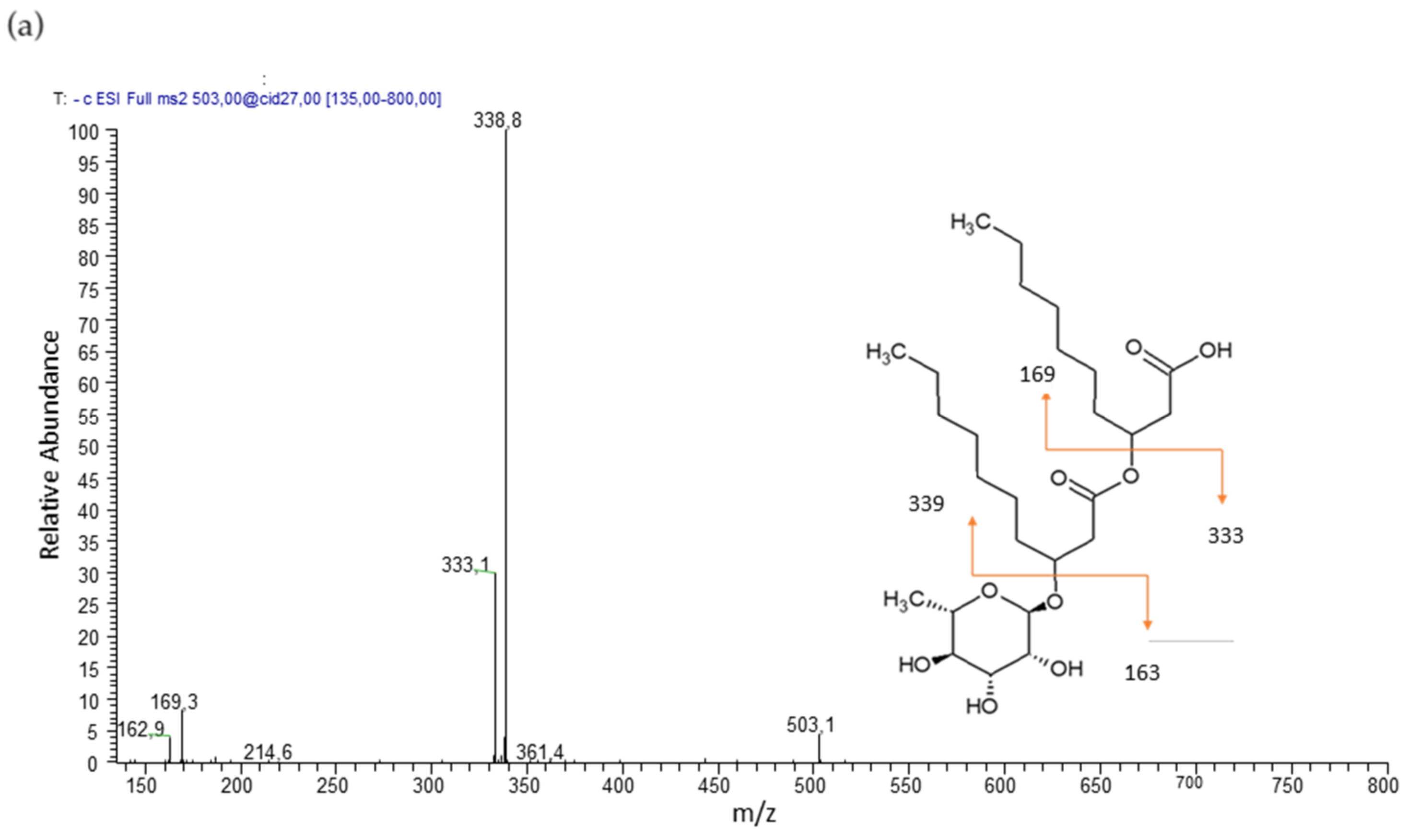 Pharmaceutics 13 01172 g002a