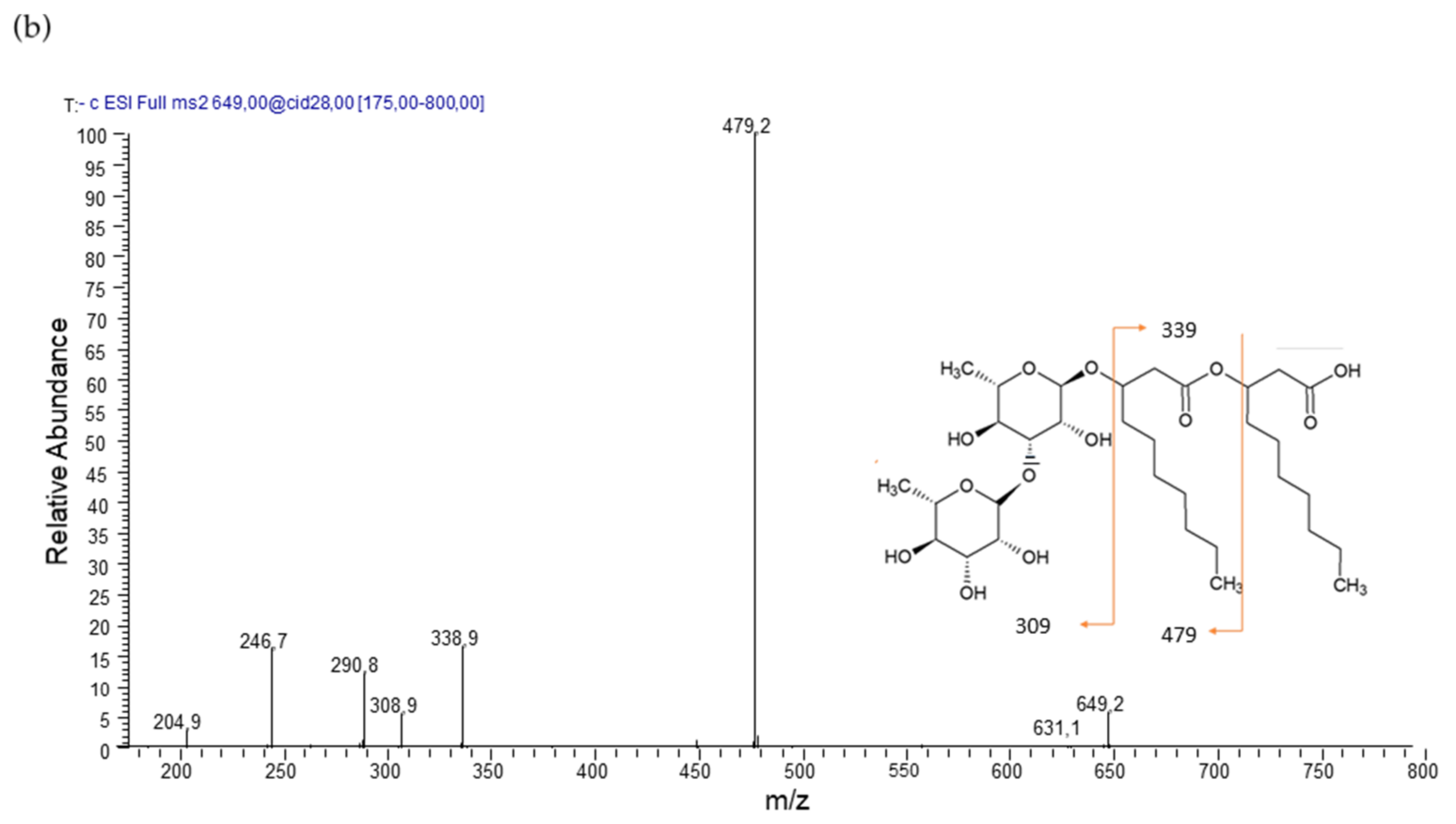Pharmaceutics 13 01172 g002b
