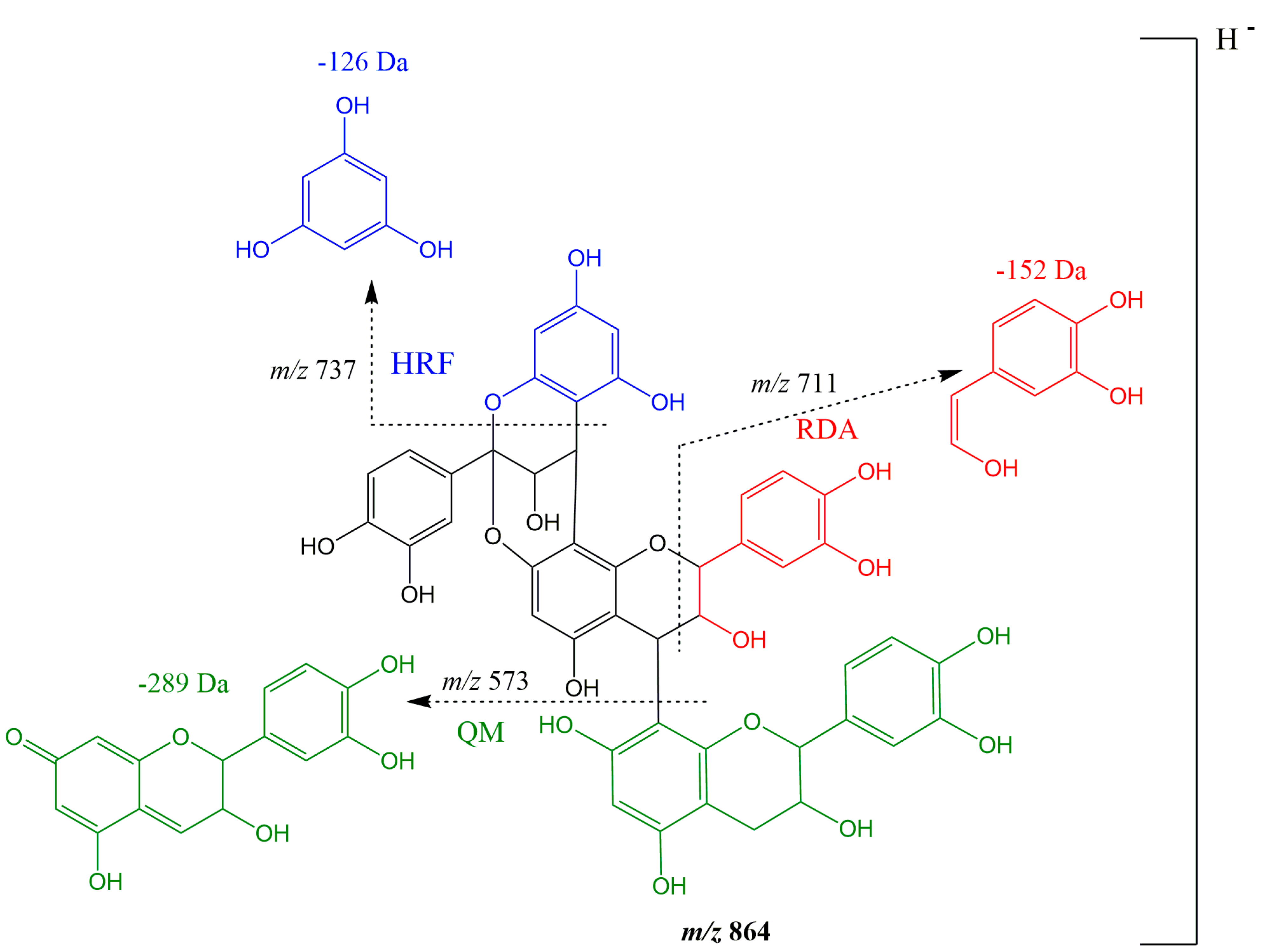 Pharmaceutics 13 01173 g004 Pharmaceutics 13 01173 g004