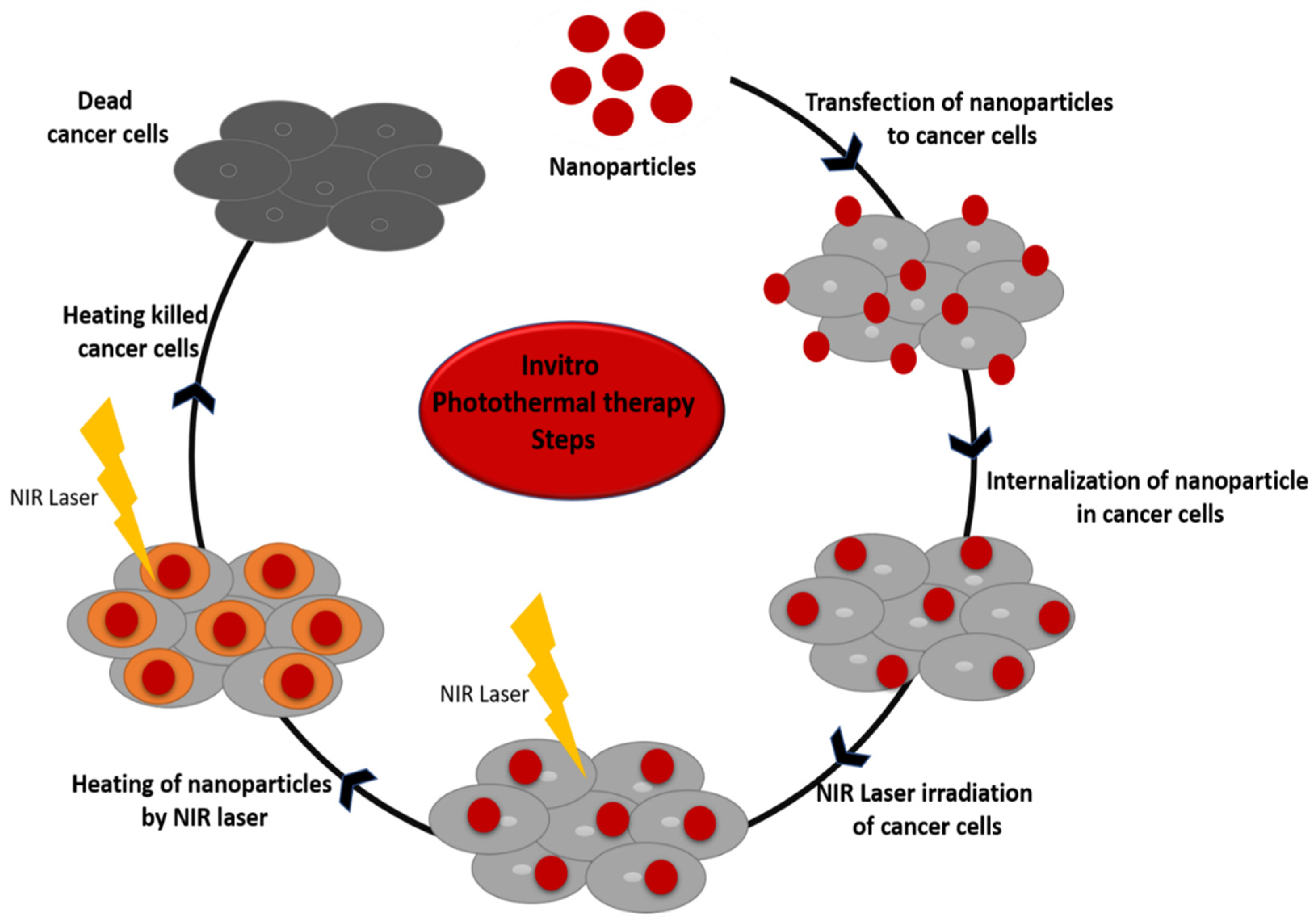Pharmaceutics 13 01174 g004