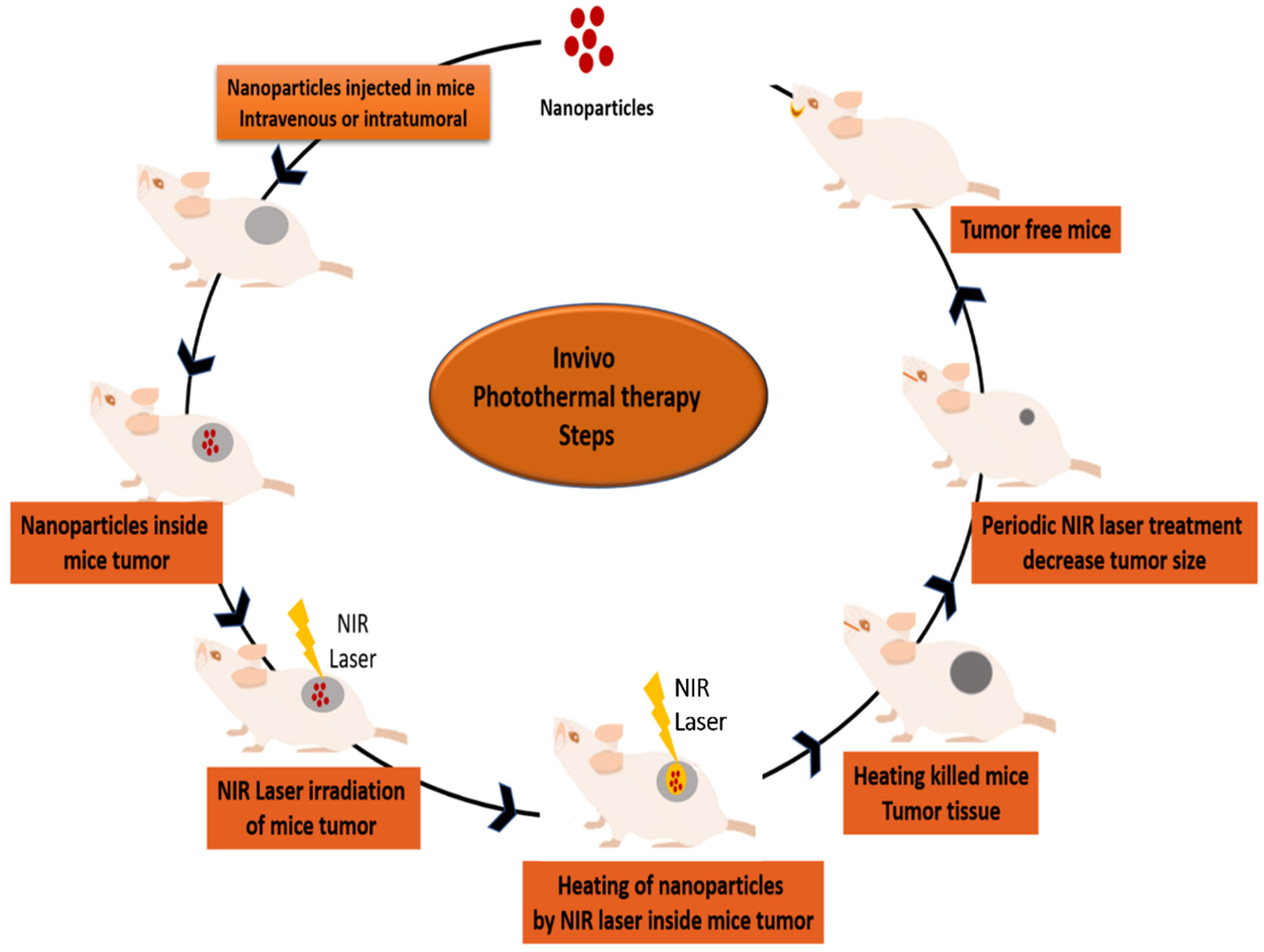 Pharmaceutics 13 01174 g005