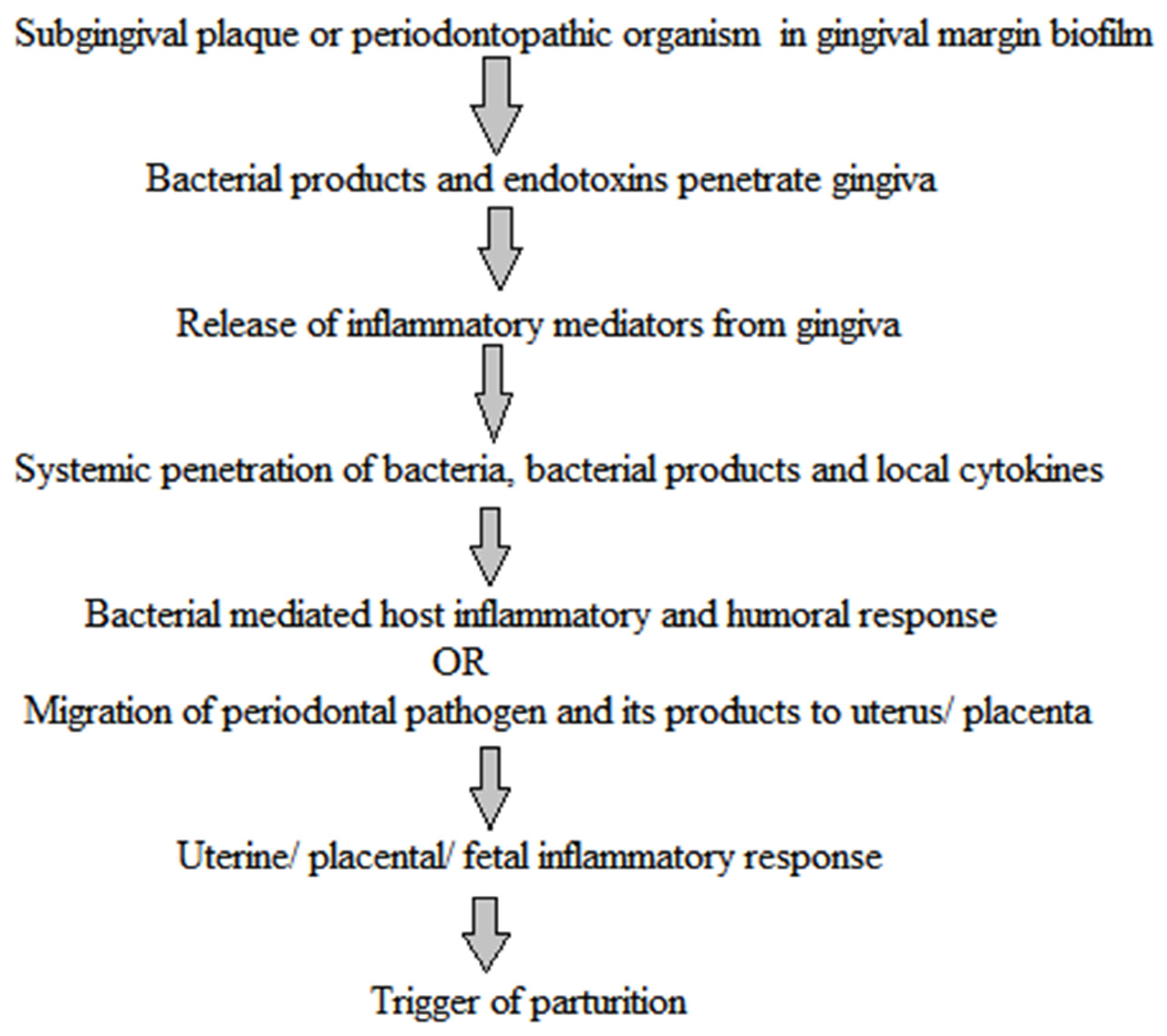 Pharmaceutics 13 01175 g004