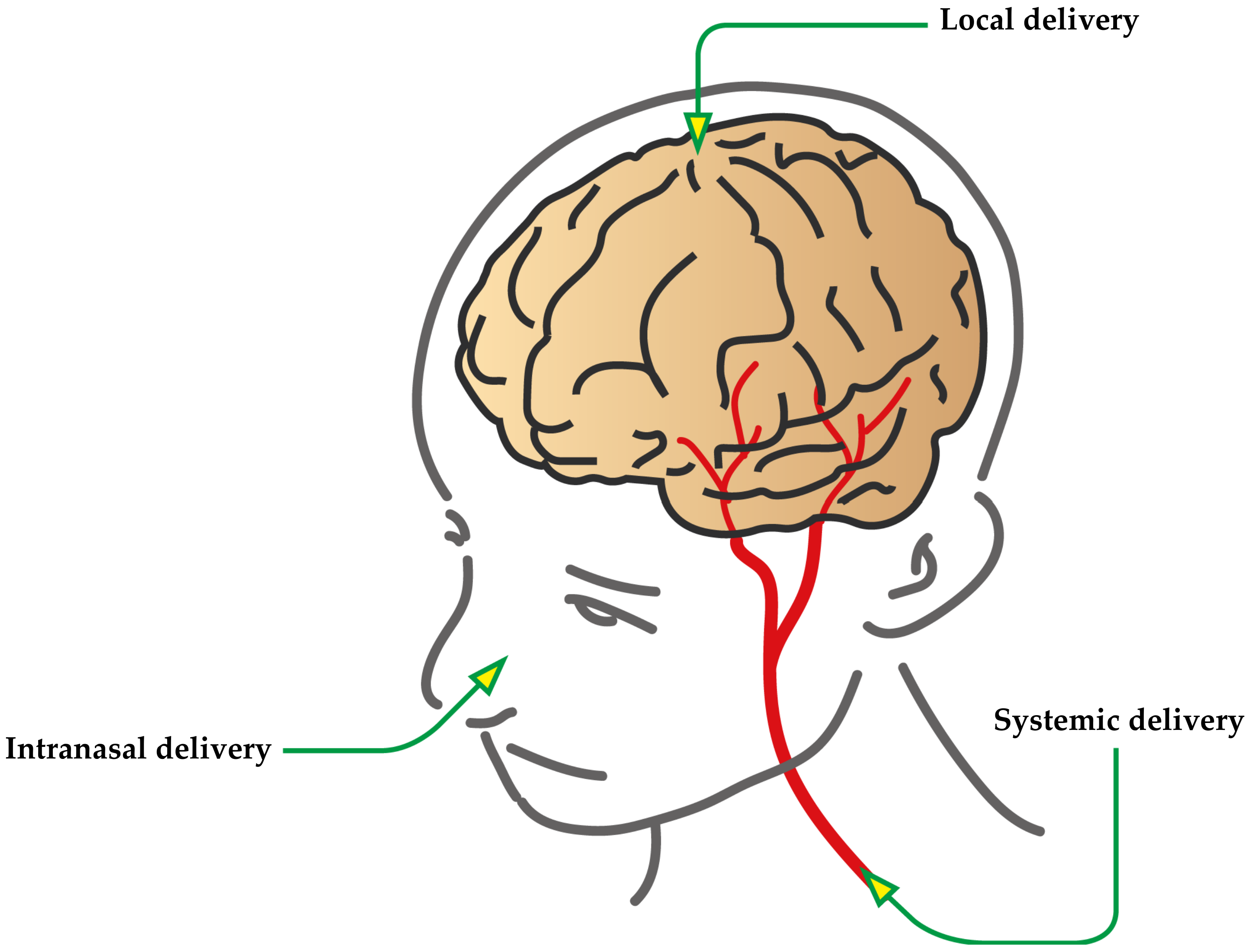 Pharmaceutics 13 01183 g002 Pharmaceutics 13 01183 g002
