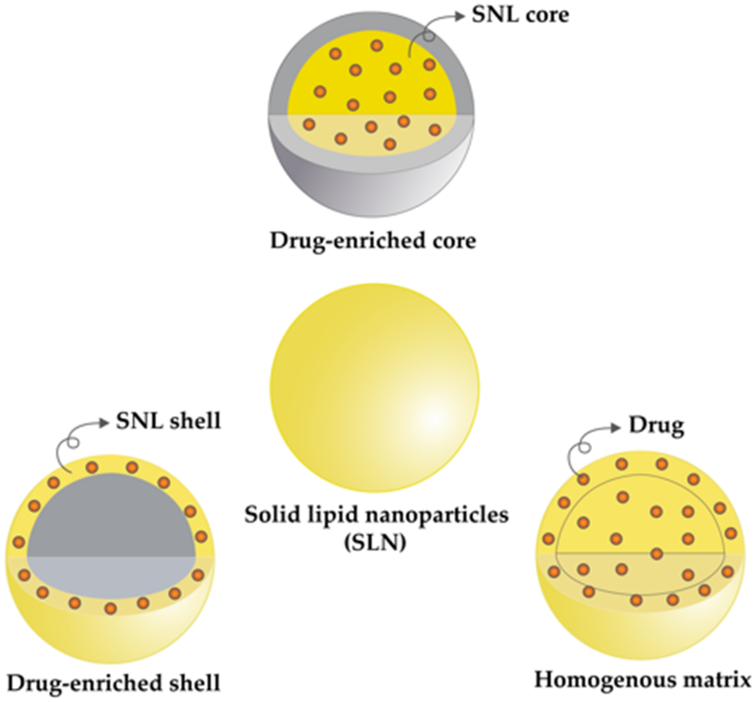Pharmaceutics 13 01183 g006 Pharmaceutics 13 01183 g006