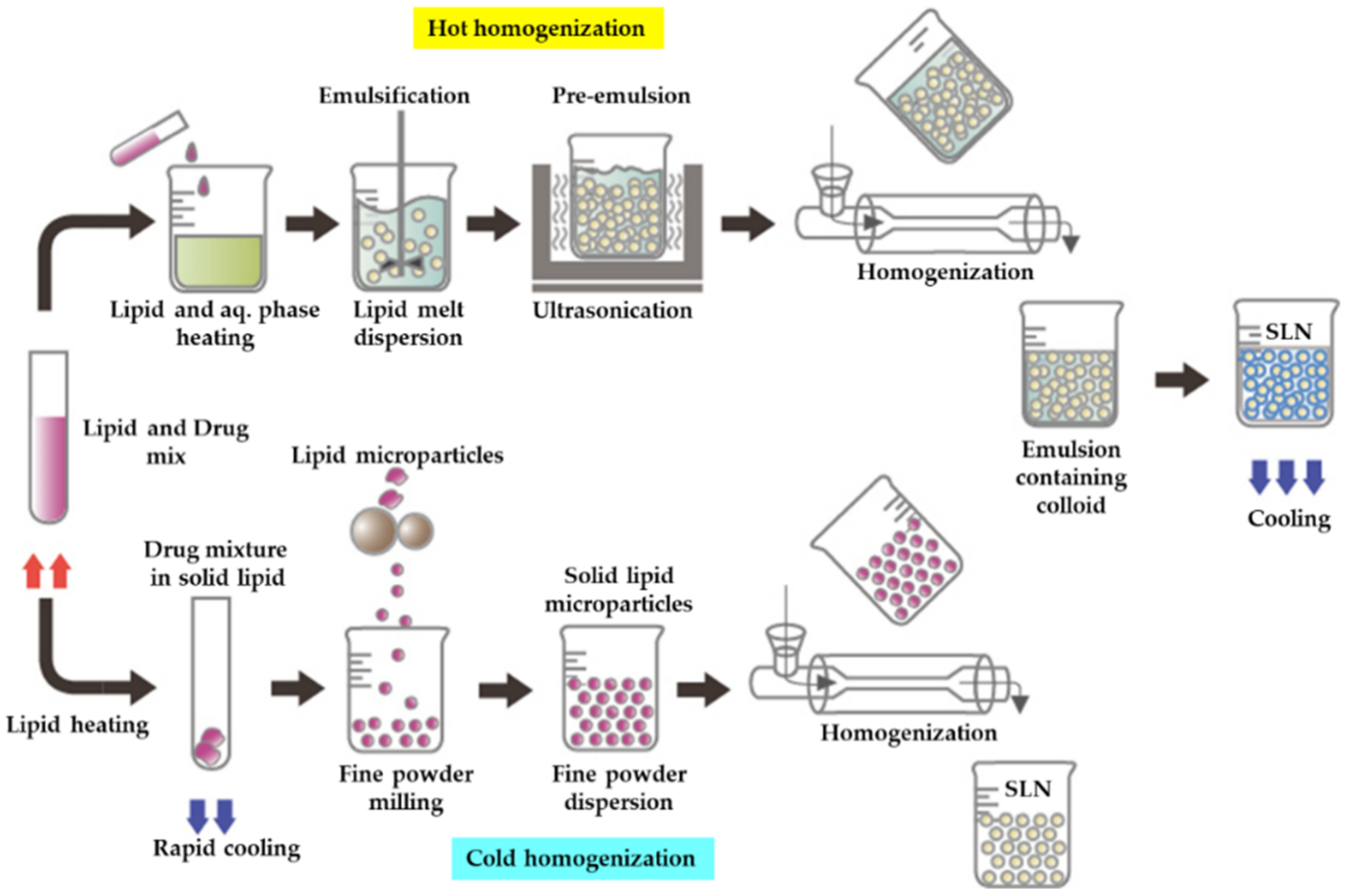 Pharmaceutics 13 01183 g008 Pharmaceutics 13 01183 g008