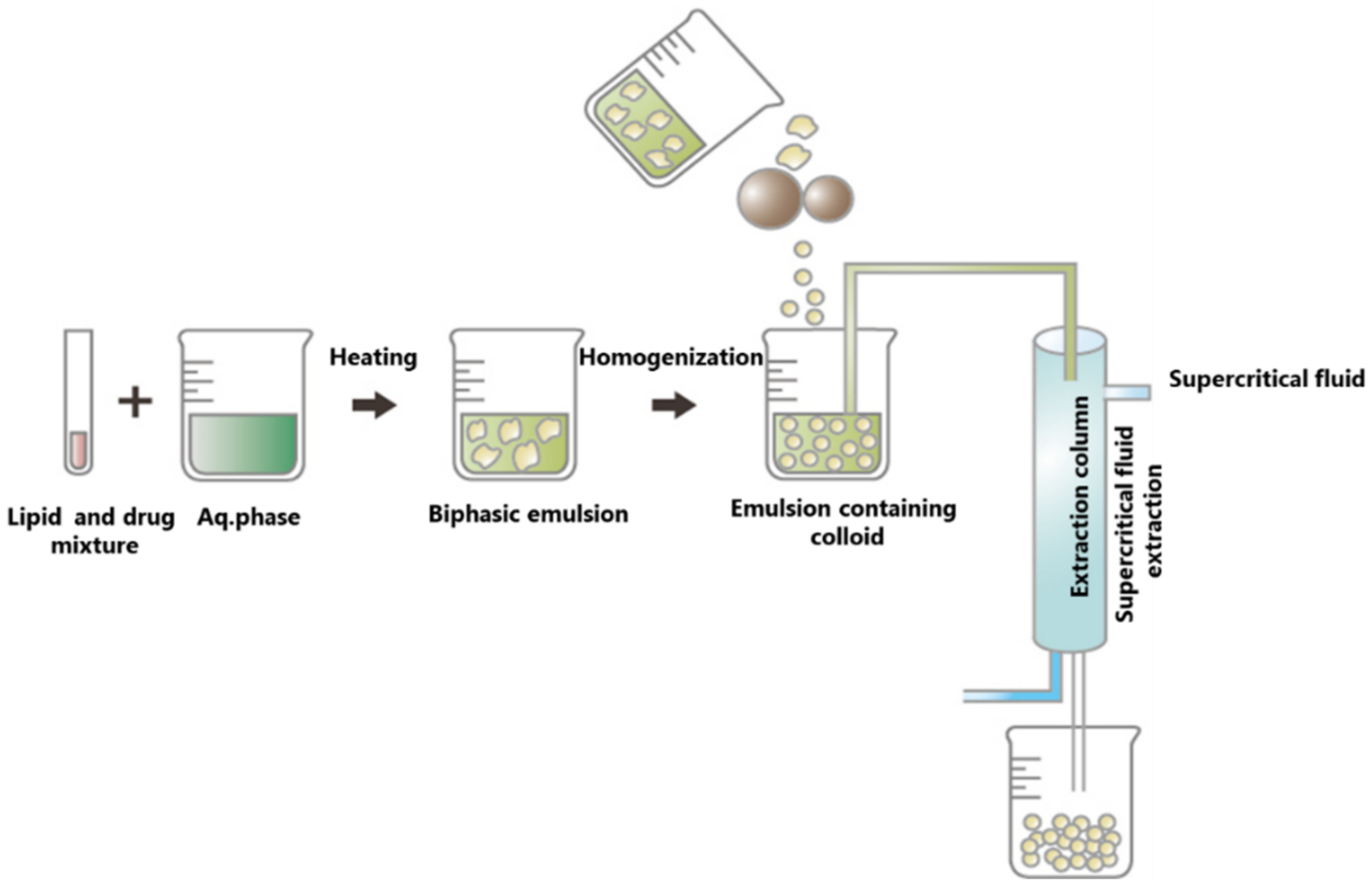 Pharmaceutics 13 01183 g011 Pharmaceutics 13 01183 g011