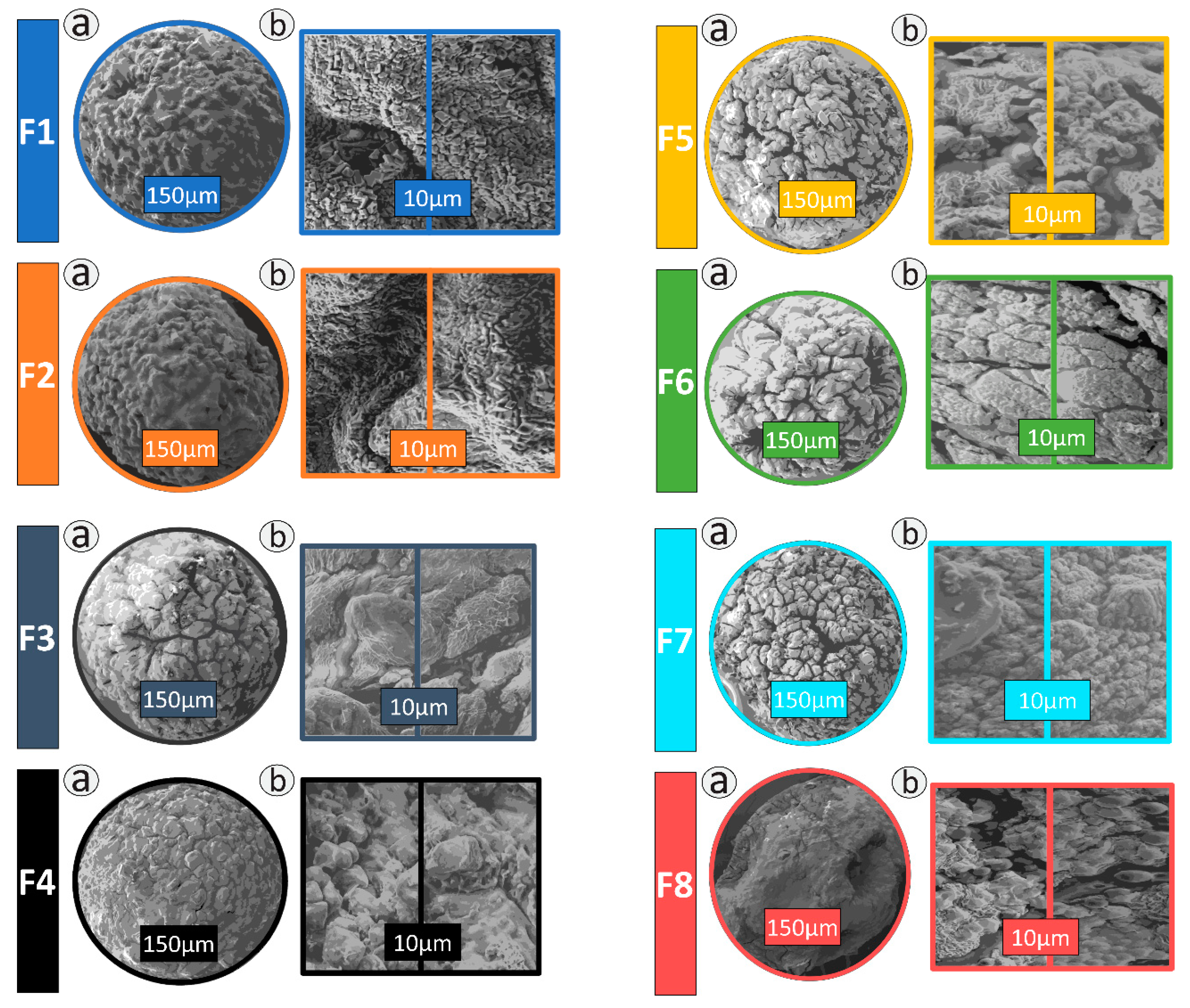 Pharmaceutics 13 01184 g001 550