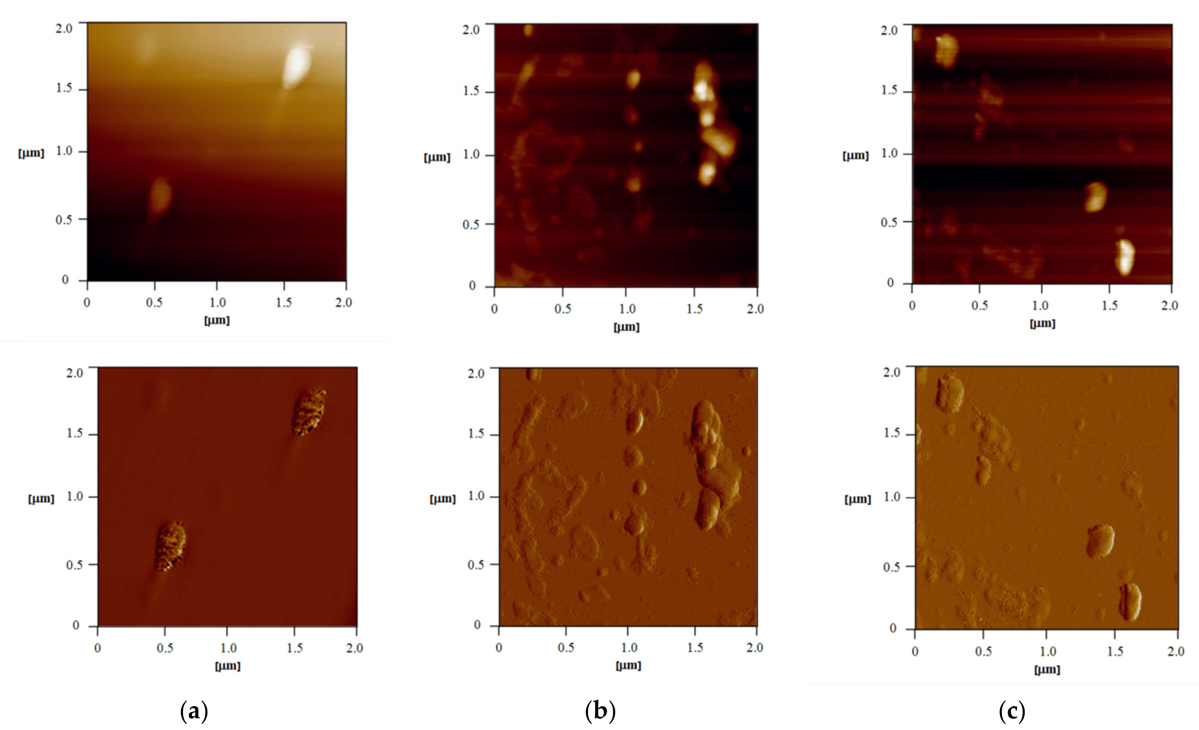 Pharmaceutics 13 01188 g003