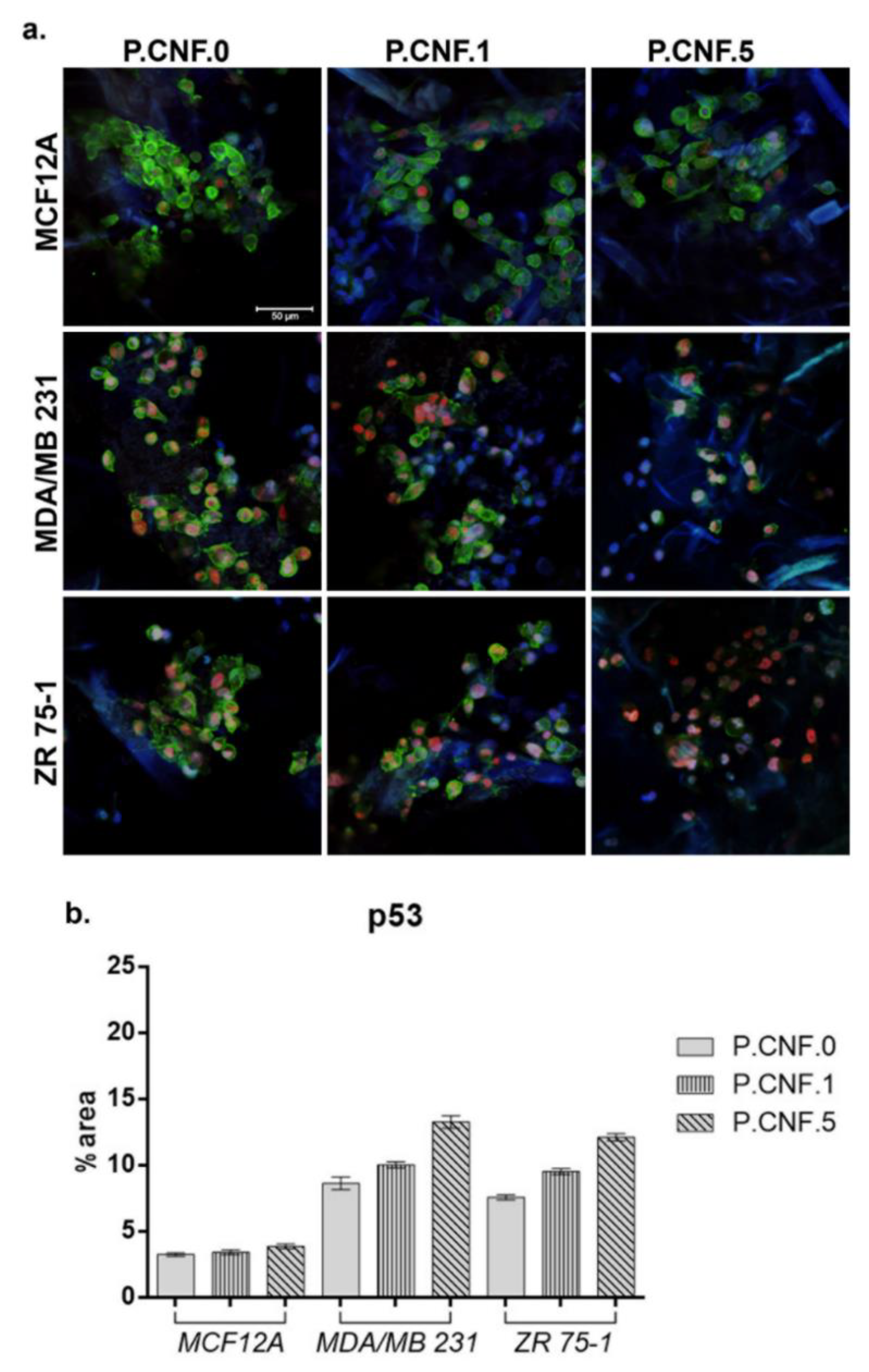 Pharmaceutics 13 01189 g011