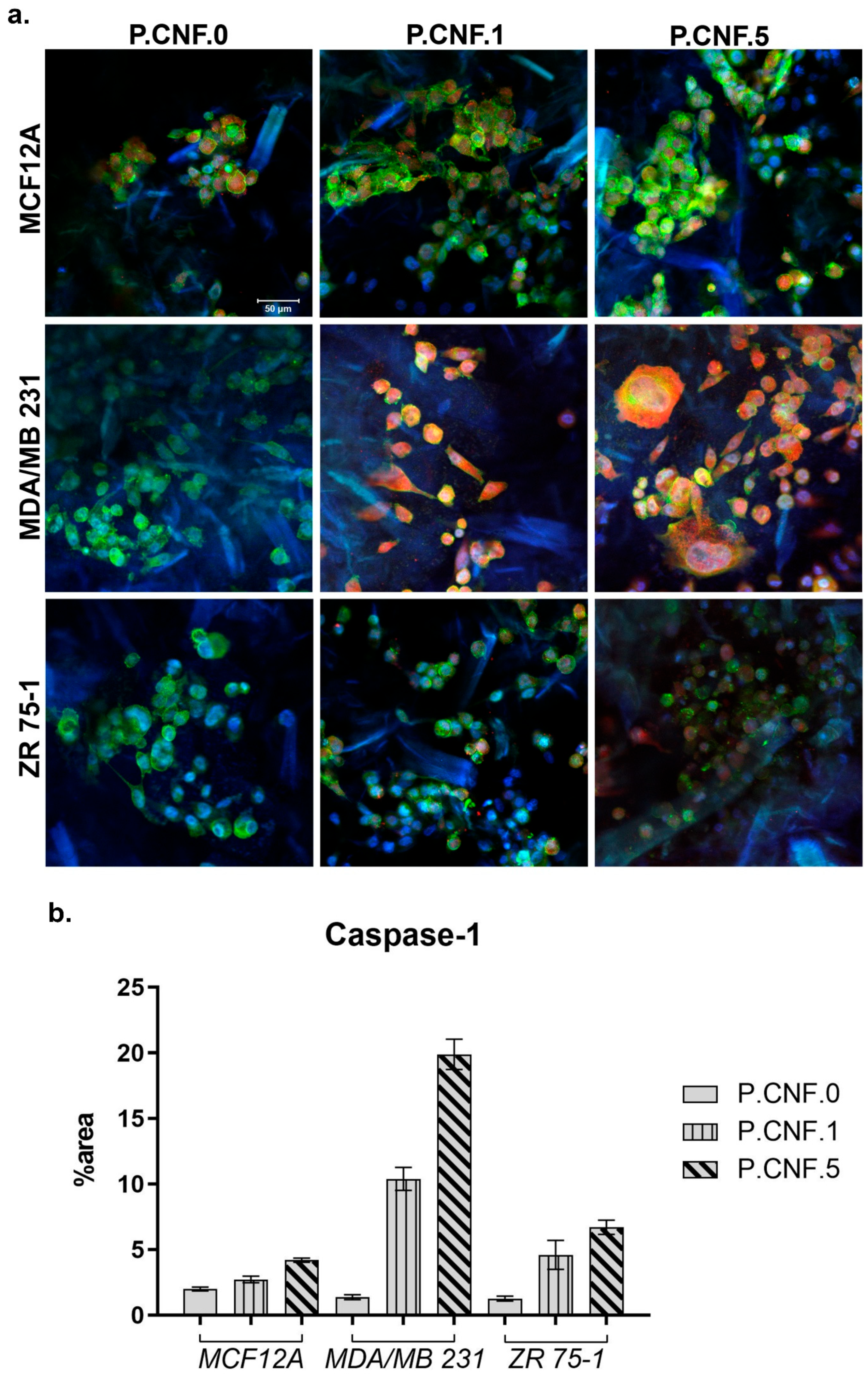 Pharmaceutics 13 01189 g012