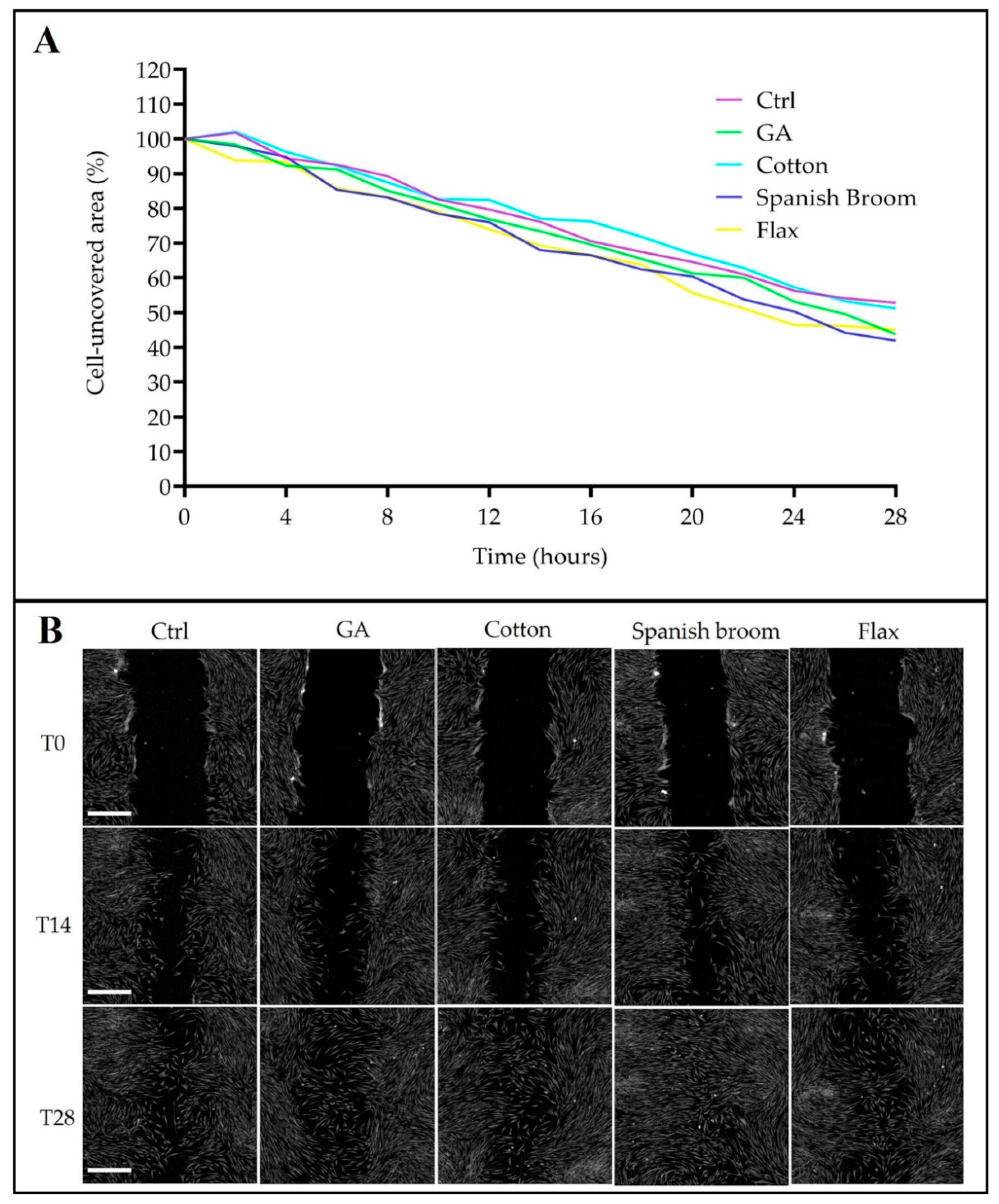 Pharmaceutics 13 01192 g007 550