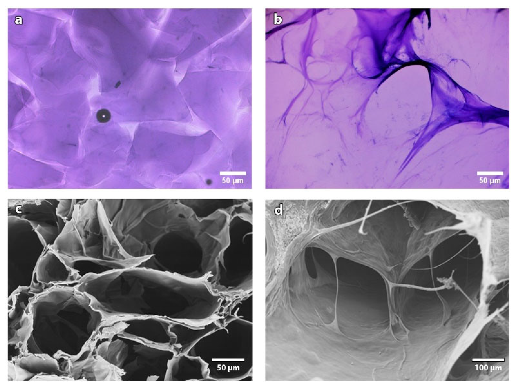 Pharmaceutics 13 01194 g003 550