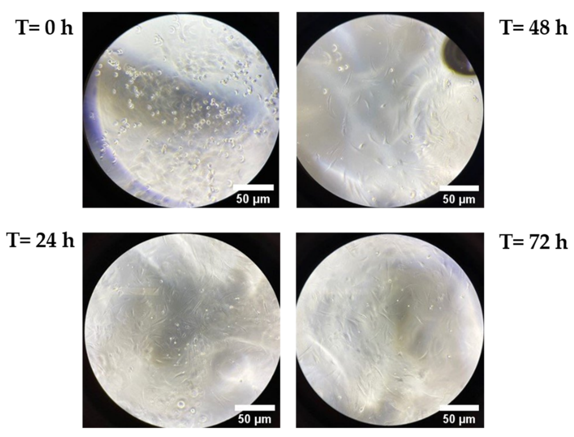 Pharmaceutics 13 01194 g006 550