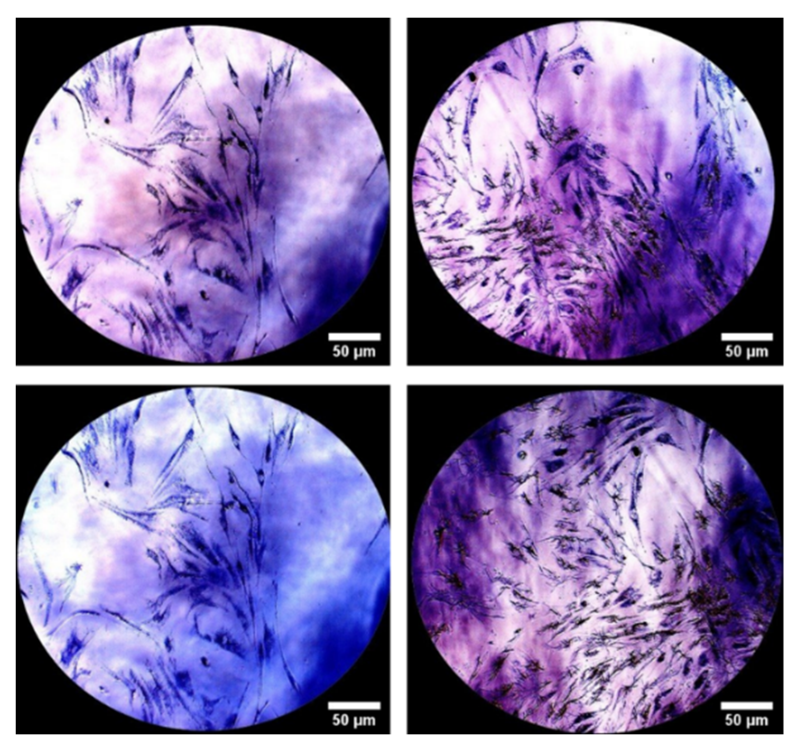 Pharmaceutics 13 01194 g008 550