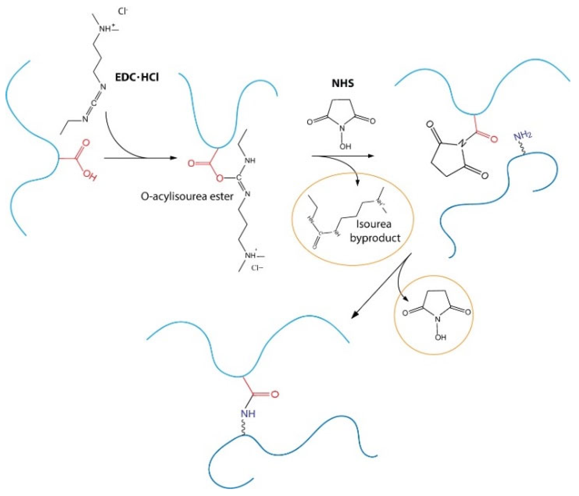 Pharmaceutics 13 01194 g010 550