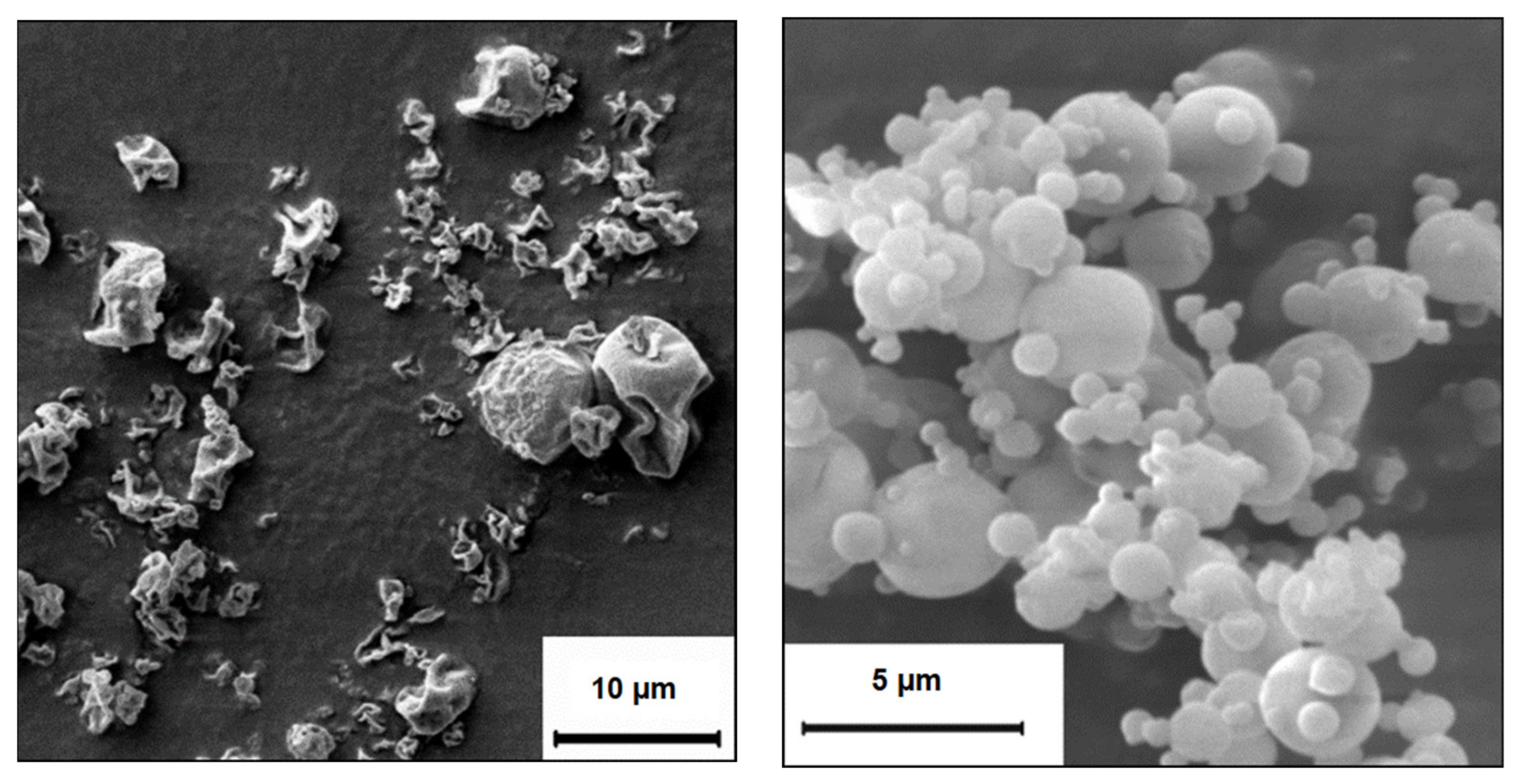 Pharmaceutics 13 01196 g003 550