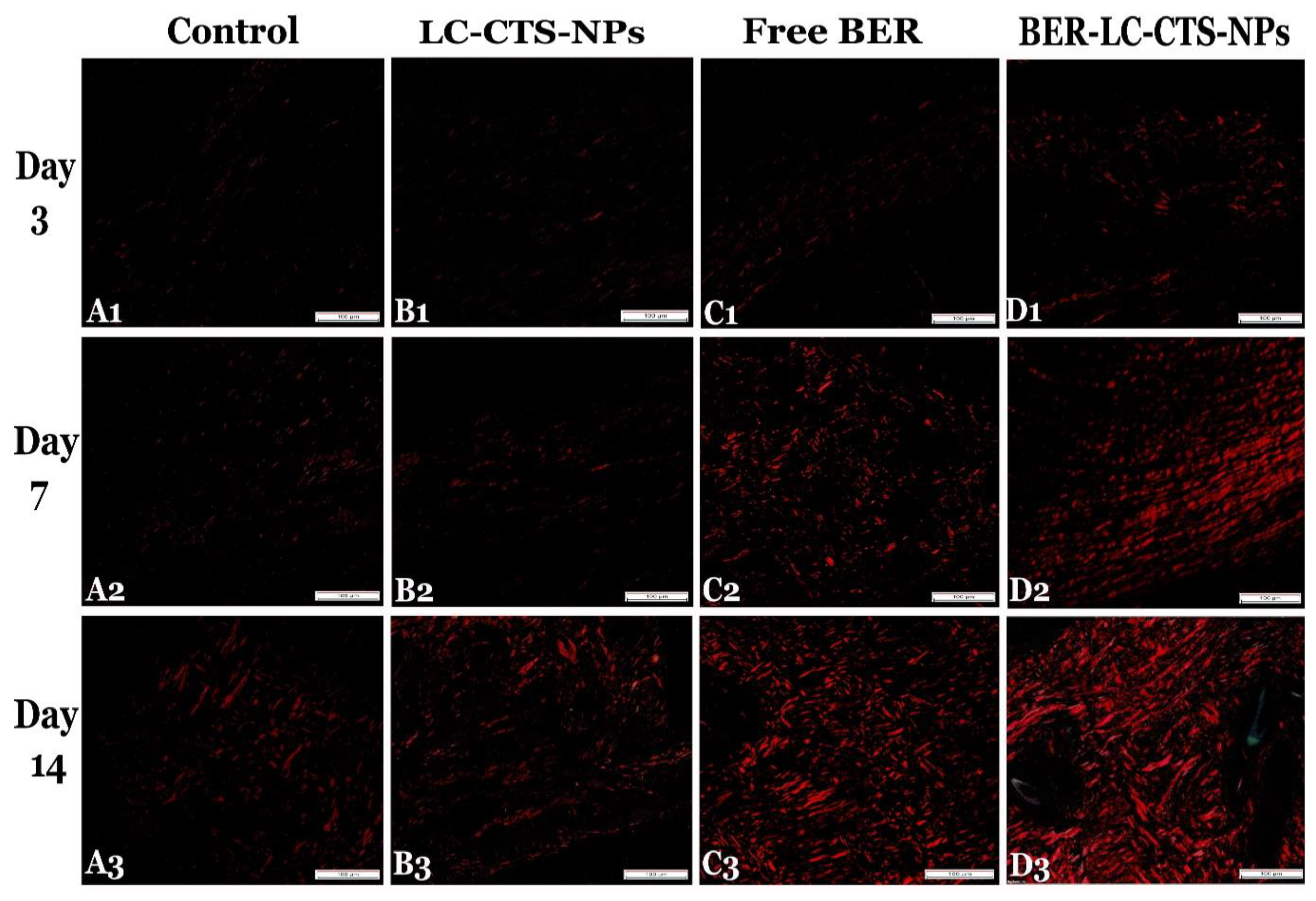 Pharmaceutics 13 01197 g010