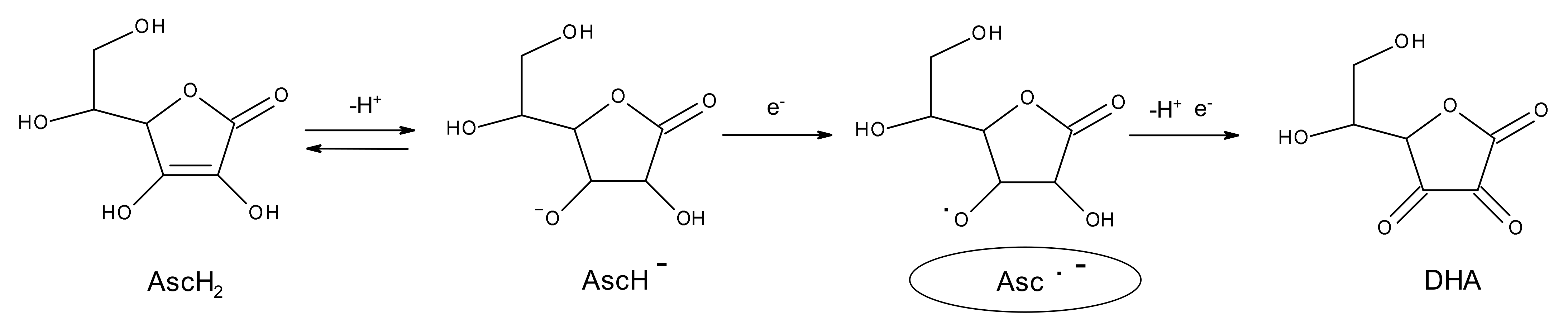 Pharmaceutics 13 01201 g002 550