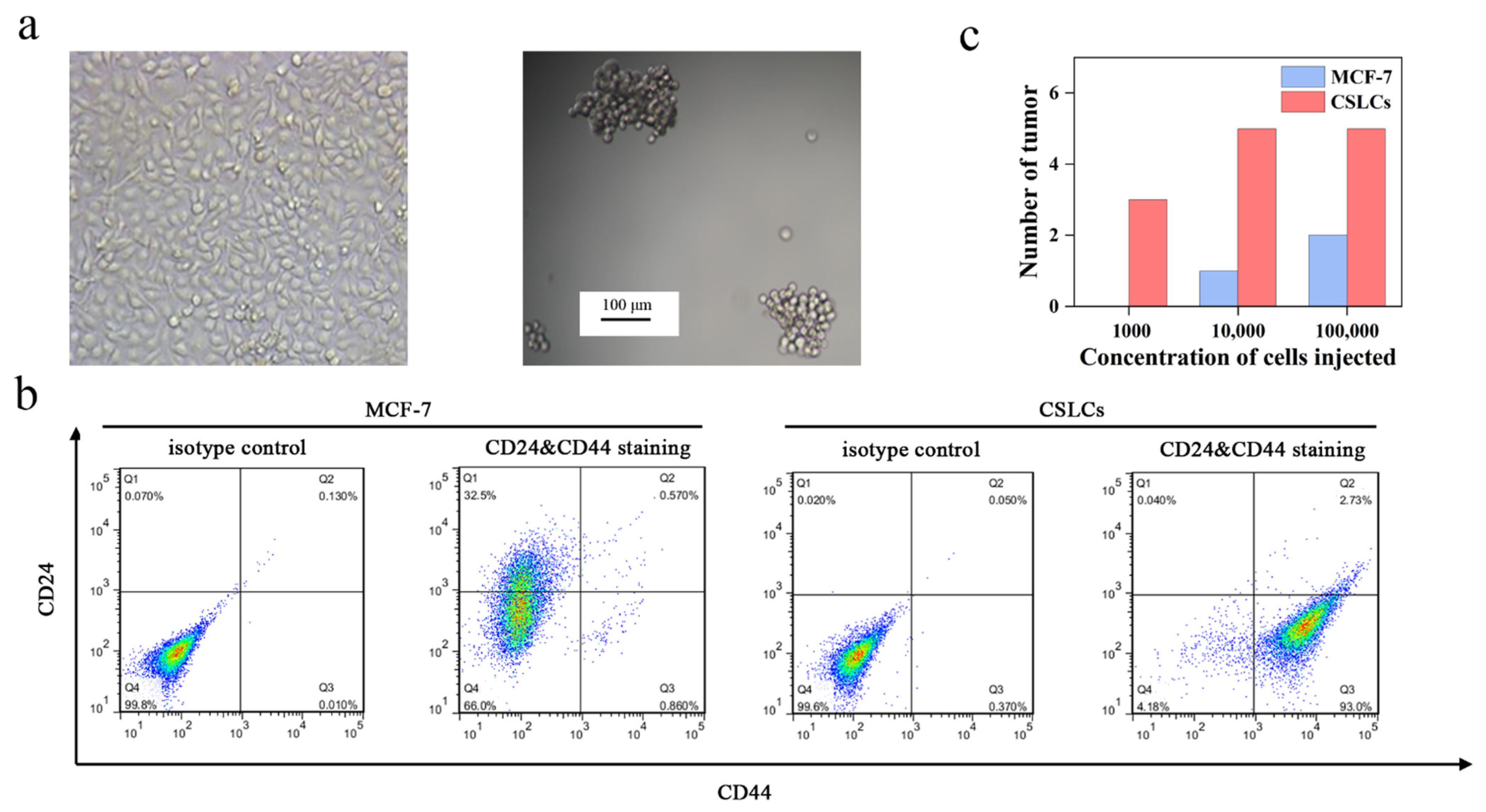 Pharmaceutics 13 01205 g003