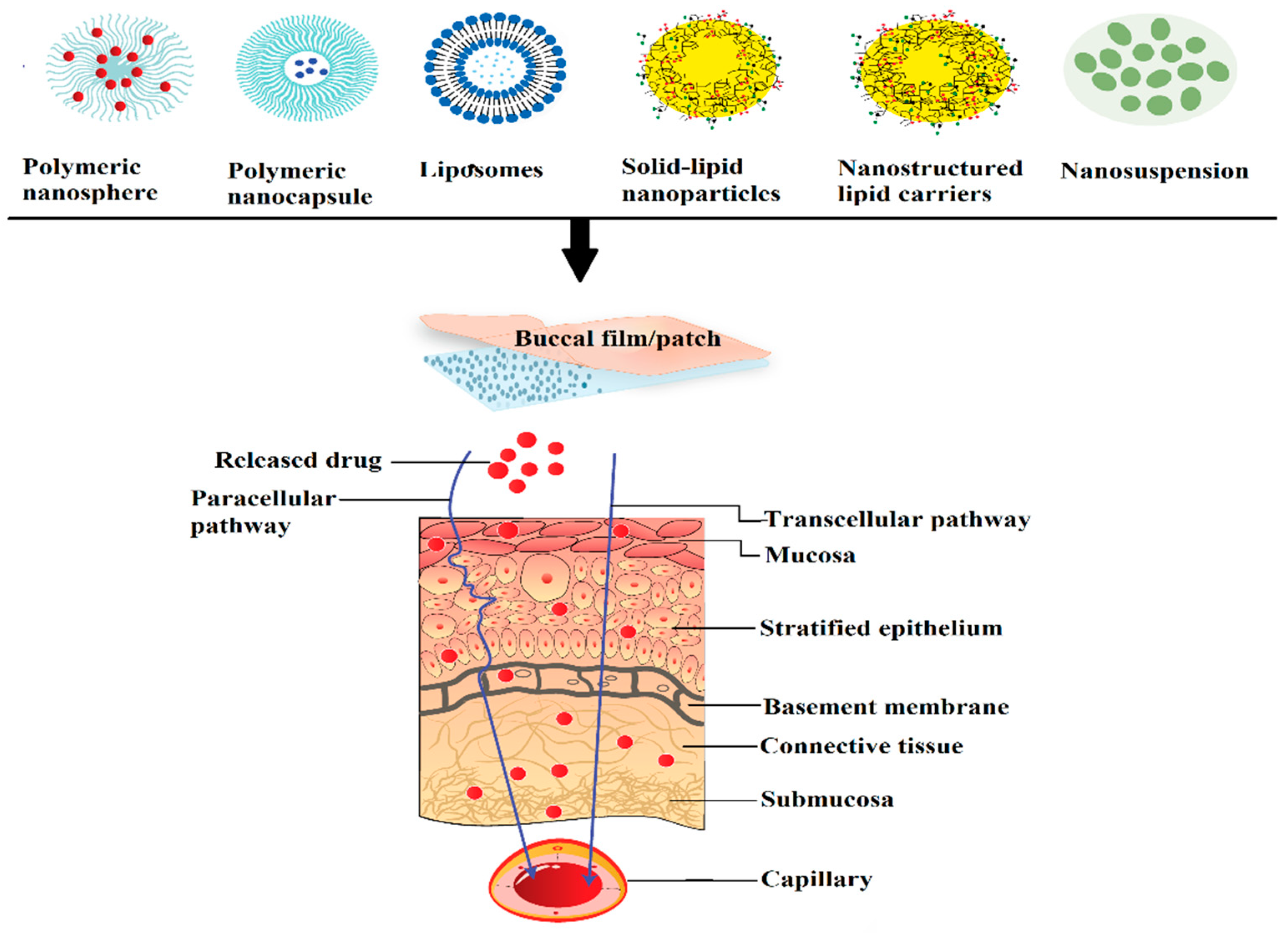 Pharmaceutics Free Full-text An Updated Overview Of The Emerging Role Of Patch And Film-based Buccal Delivery Systems Html