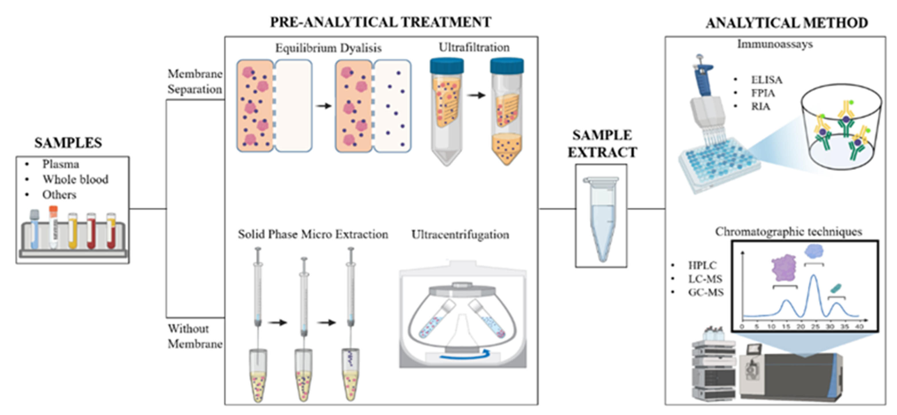 Pharmaceutics Free FullText The Effect of Plasma Protein Binding