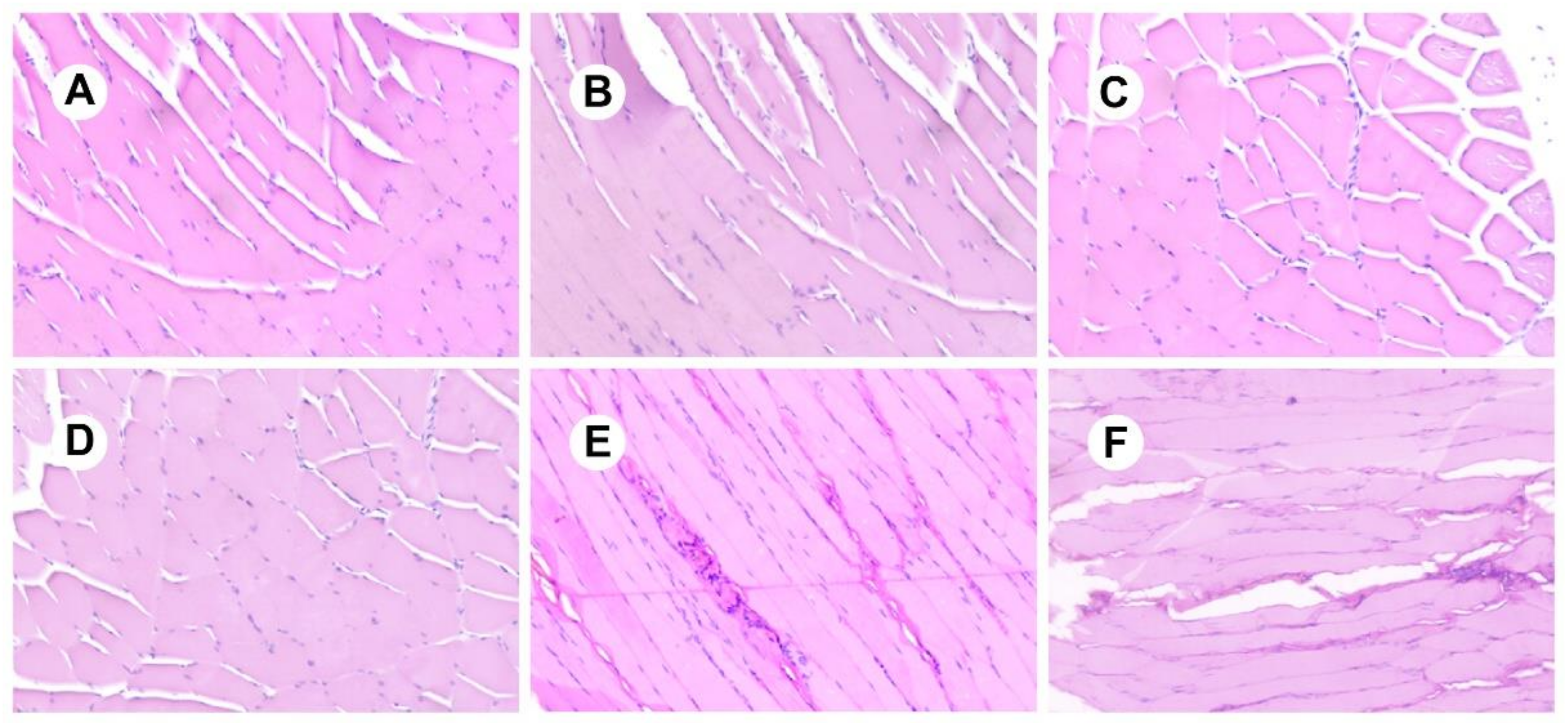 Pharmaceutics 13 01210 g008 550