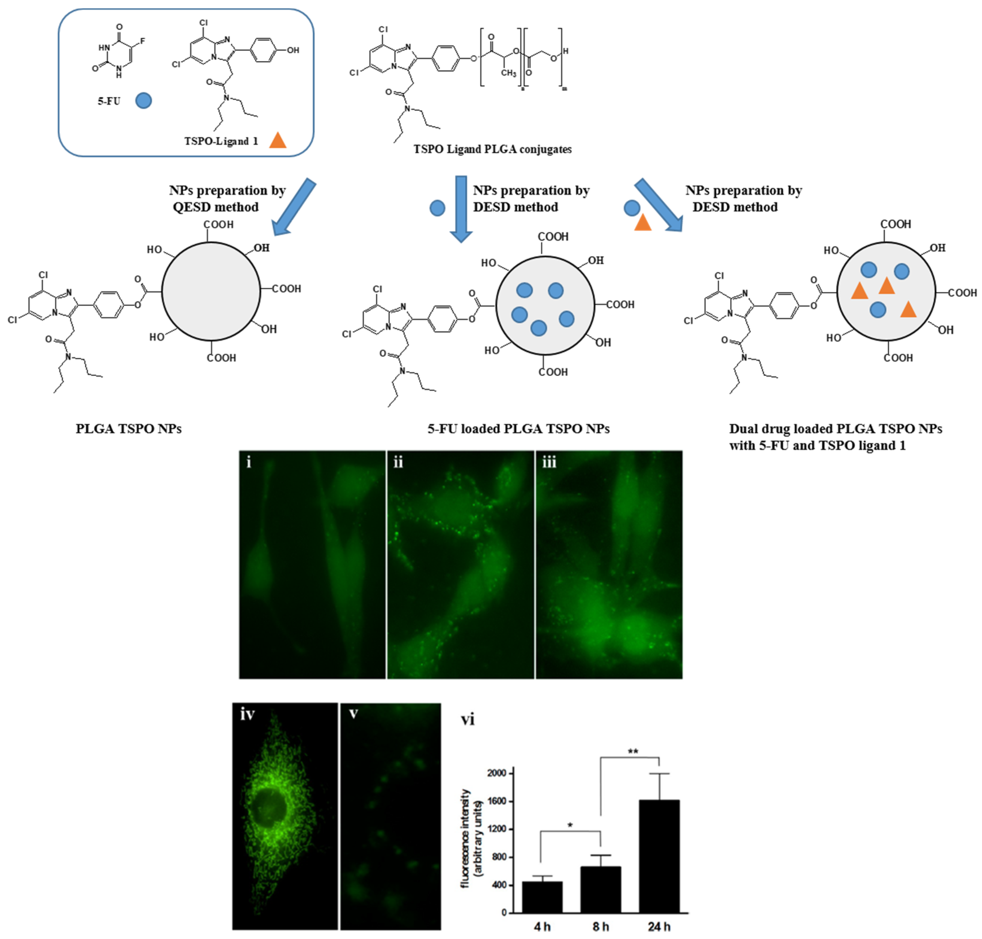 Pharmaceutics 13 01214 g006 Pharmaceutics 13 01214 g006
