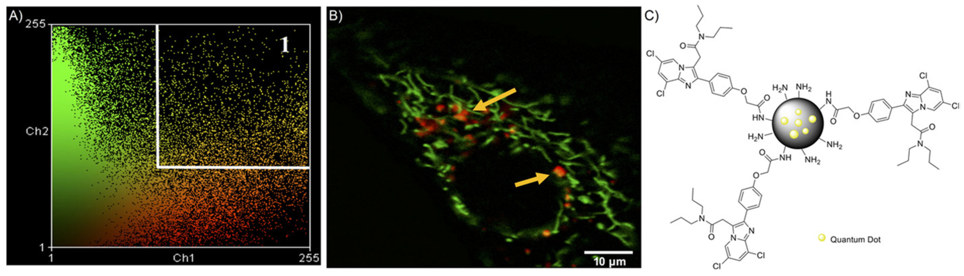 Pharmaceutics 13 01214 g008 Pharmaceutics 13 01214 g008