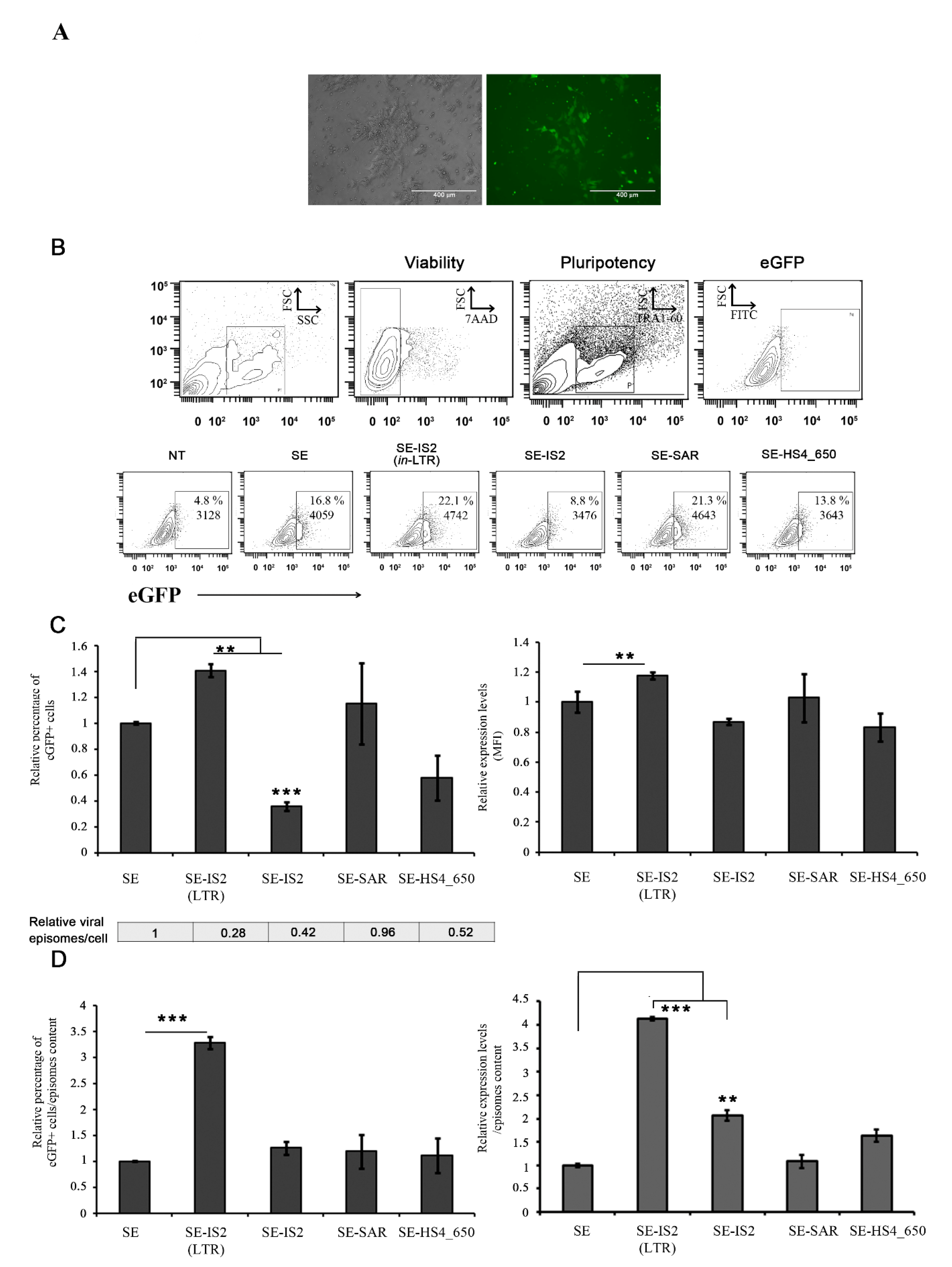 Pharmaceutics 13 01217 g002 Pharmaceutics 13 01217 g002